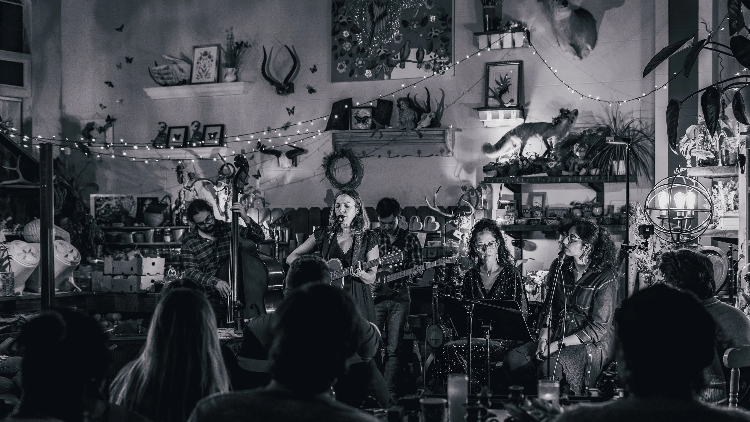 A band performing live music at a cozy indoor venue decorated with string lights, framed pictures, and animal mounts, with an audience watching.