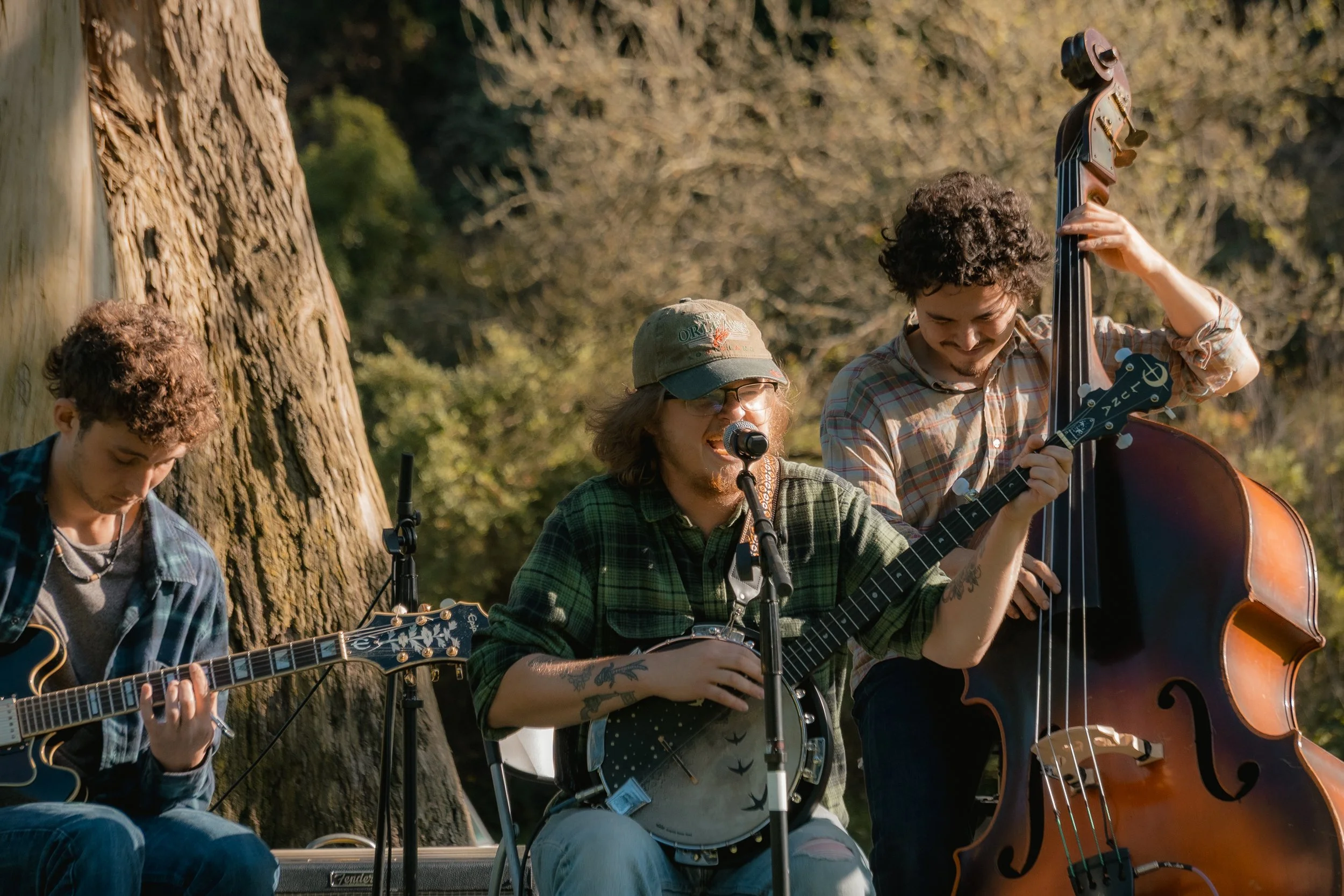 Three musicians playing outdoors, one with an acoustic guitar, one with a banjo, and one with a double bass, near a large tree during daytime.