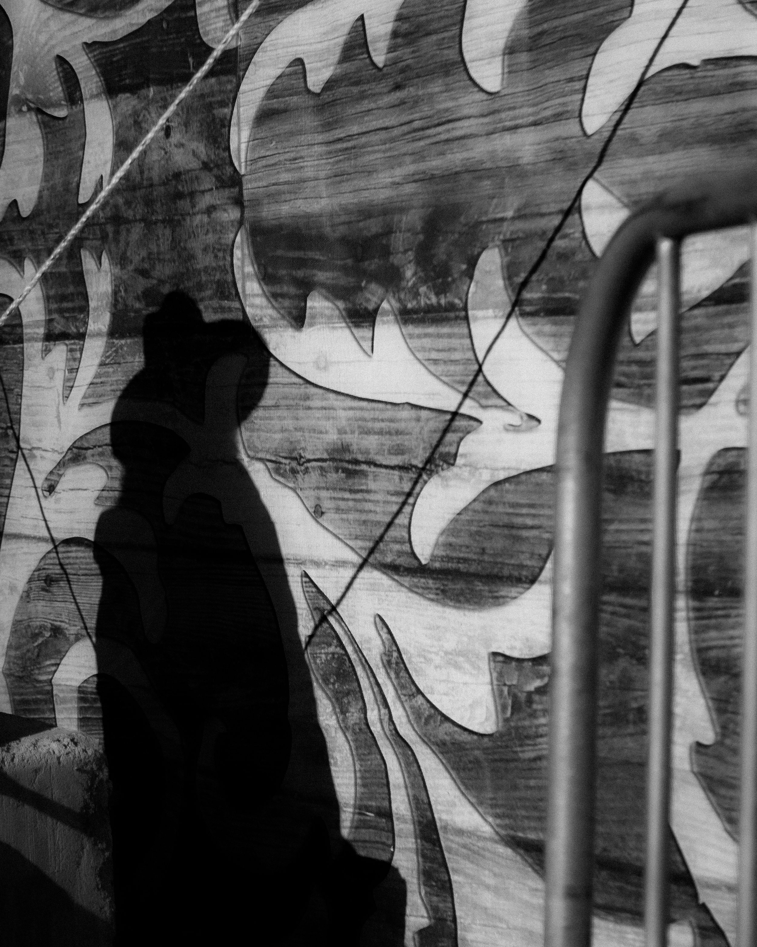 Black and white photo of a person’s shadow in front of a wall with large leaf patterns, with a metal railing partially visible on the right side.