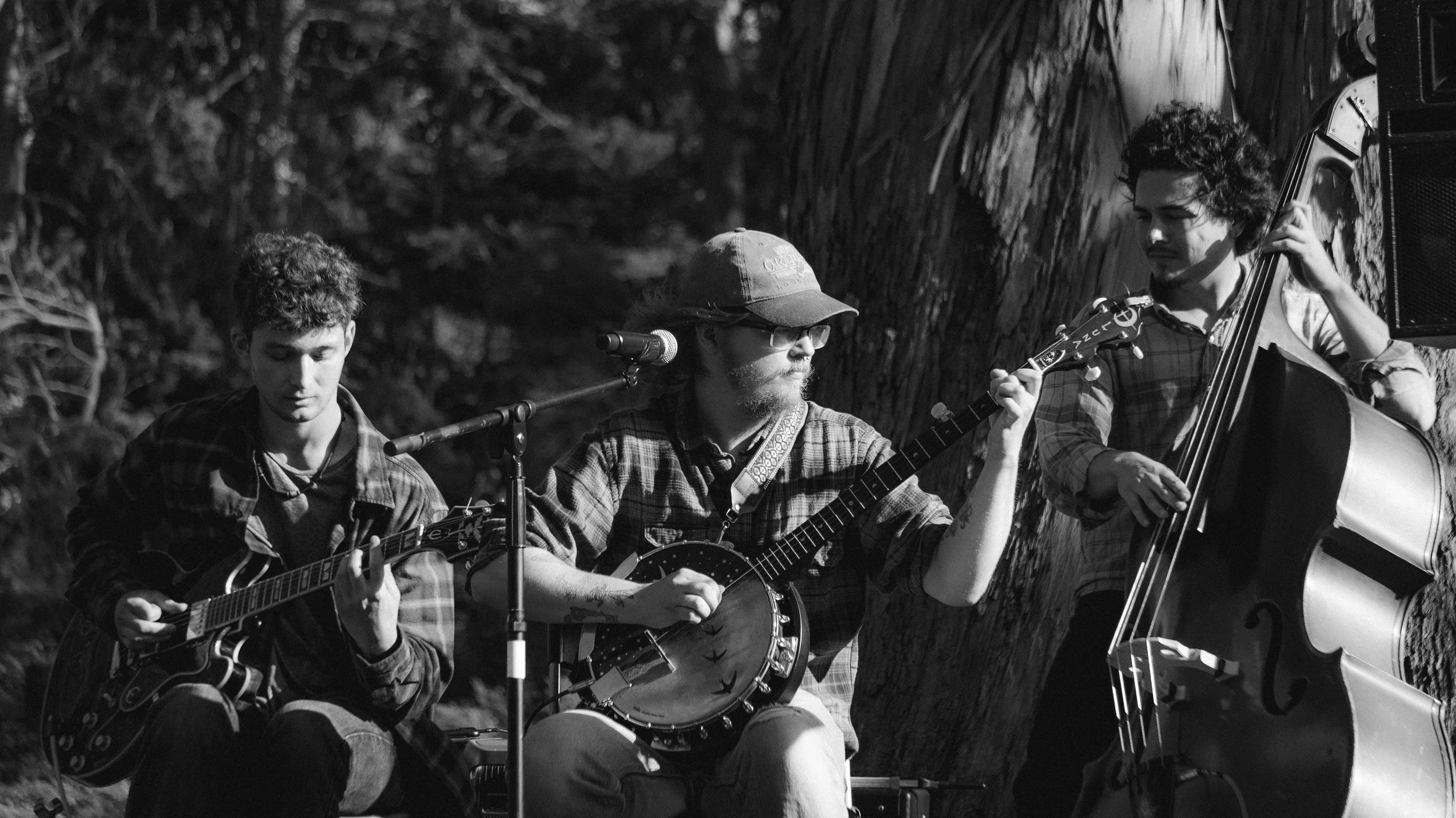 Three young men playing musical instruments outdoors near a tree, with one playing a guitar, another playing a banjo, and the third playing a double bass, in a black and white photo.