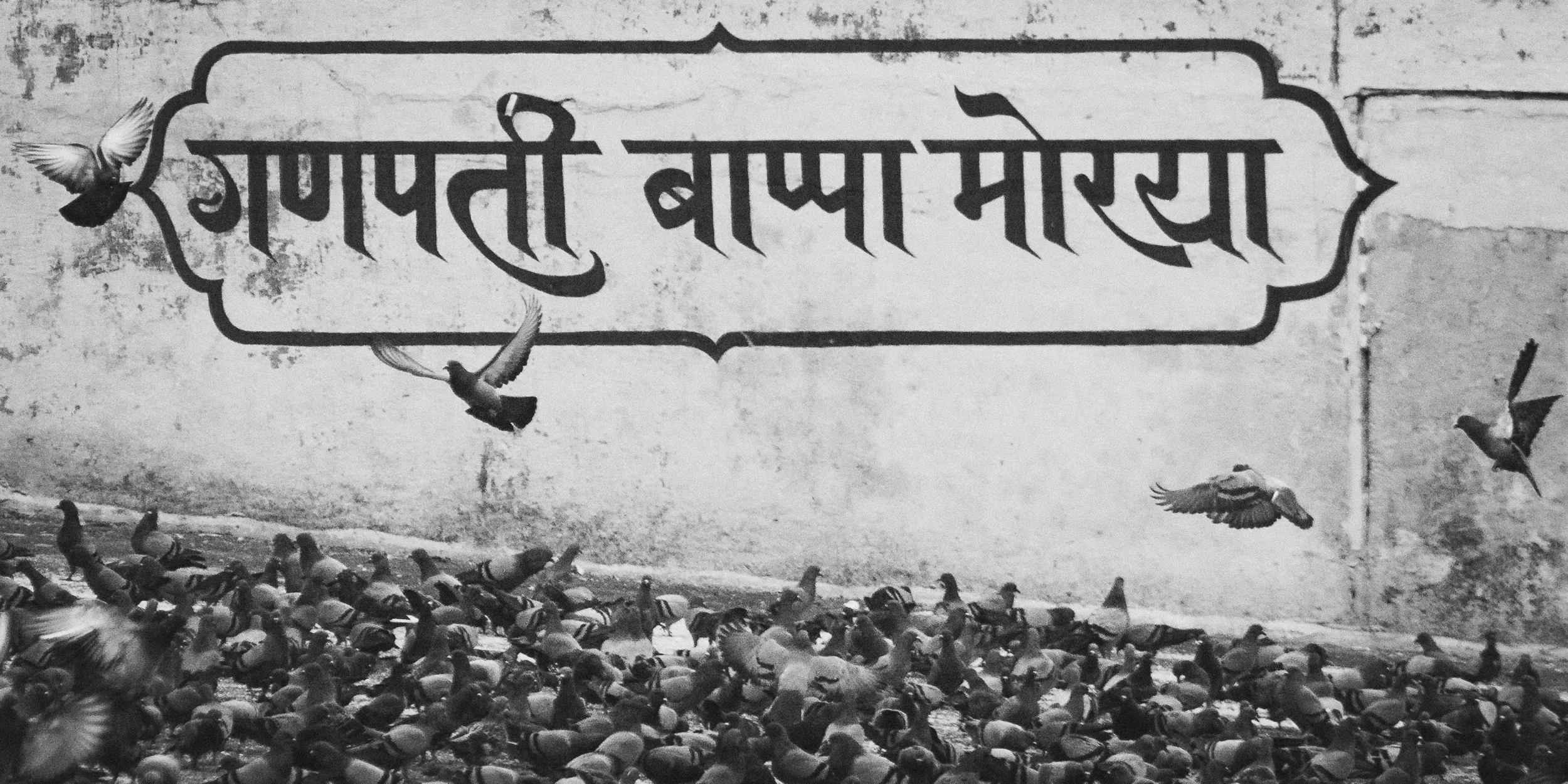 A wall with a Hindi sign that reads 'Apne Bapu Ko Naman'e' and a flock of pigeons foraging and flying around in front of it, in black and white.