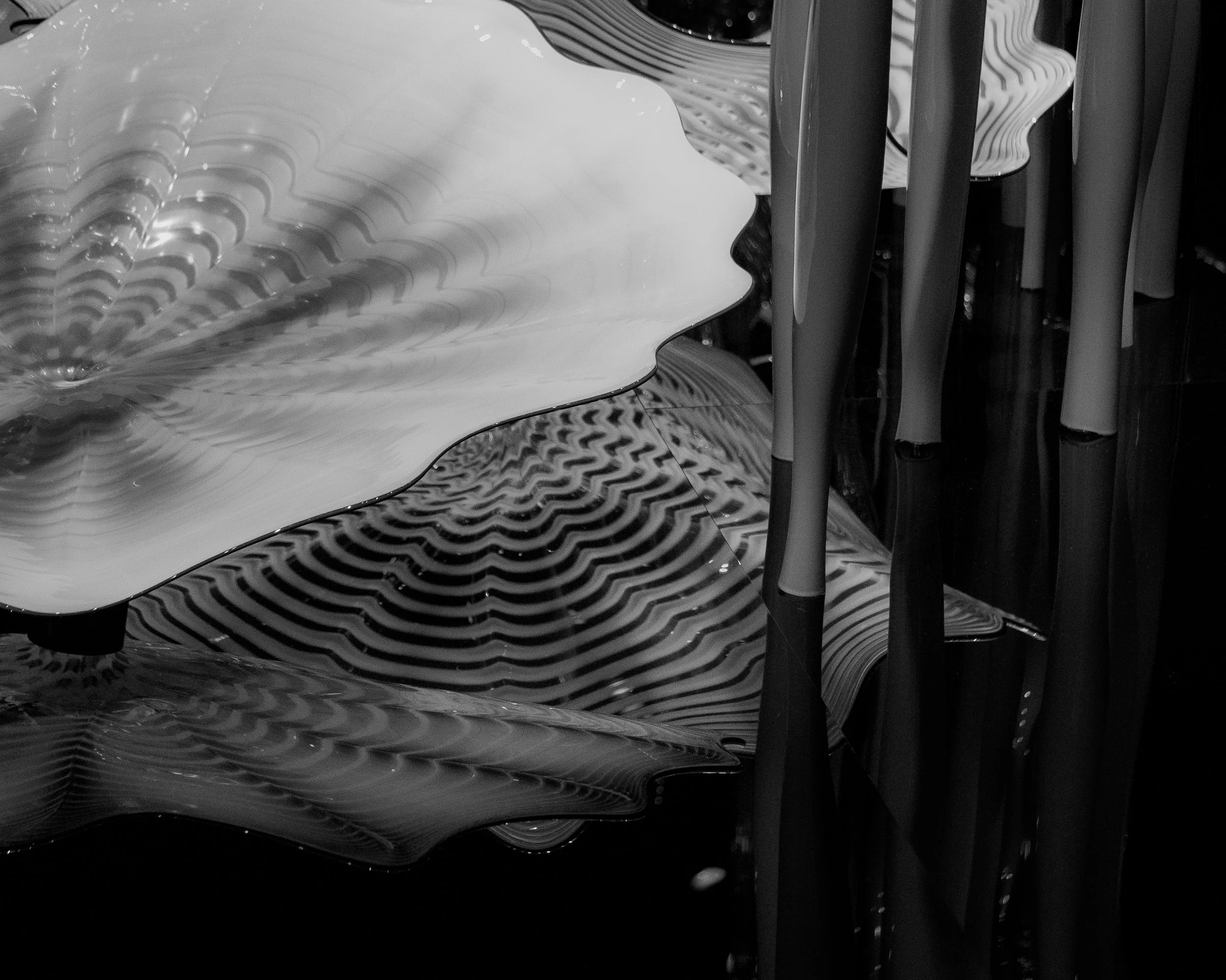 Reflective glass sculpture with wavy patterns and bamboo stalks in a dark setting.