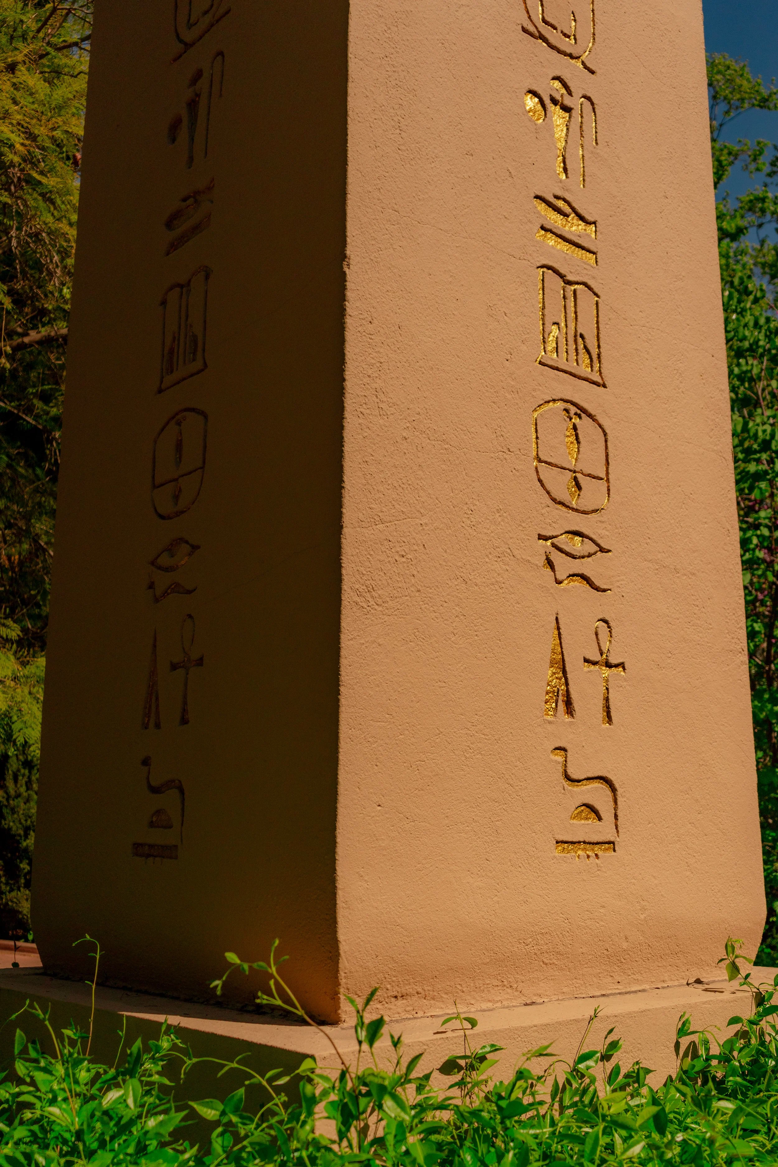 DSC08780.jpg