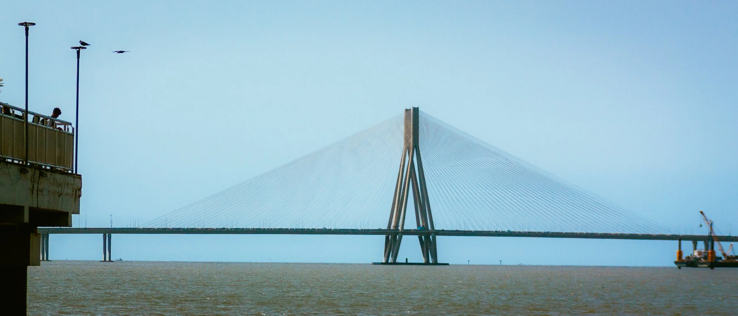 View of a cable-stayed bridge spanning large body of water, with a person on a balcony observing birds flying nearby, and construction cranes in the background.