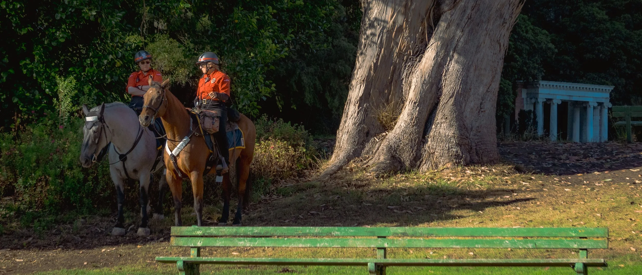Two park rangers on horses near a large tree, with a white building in the background, in a park setting during daytime.