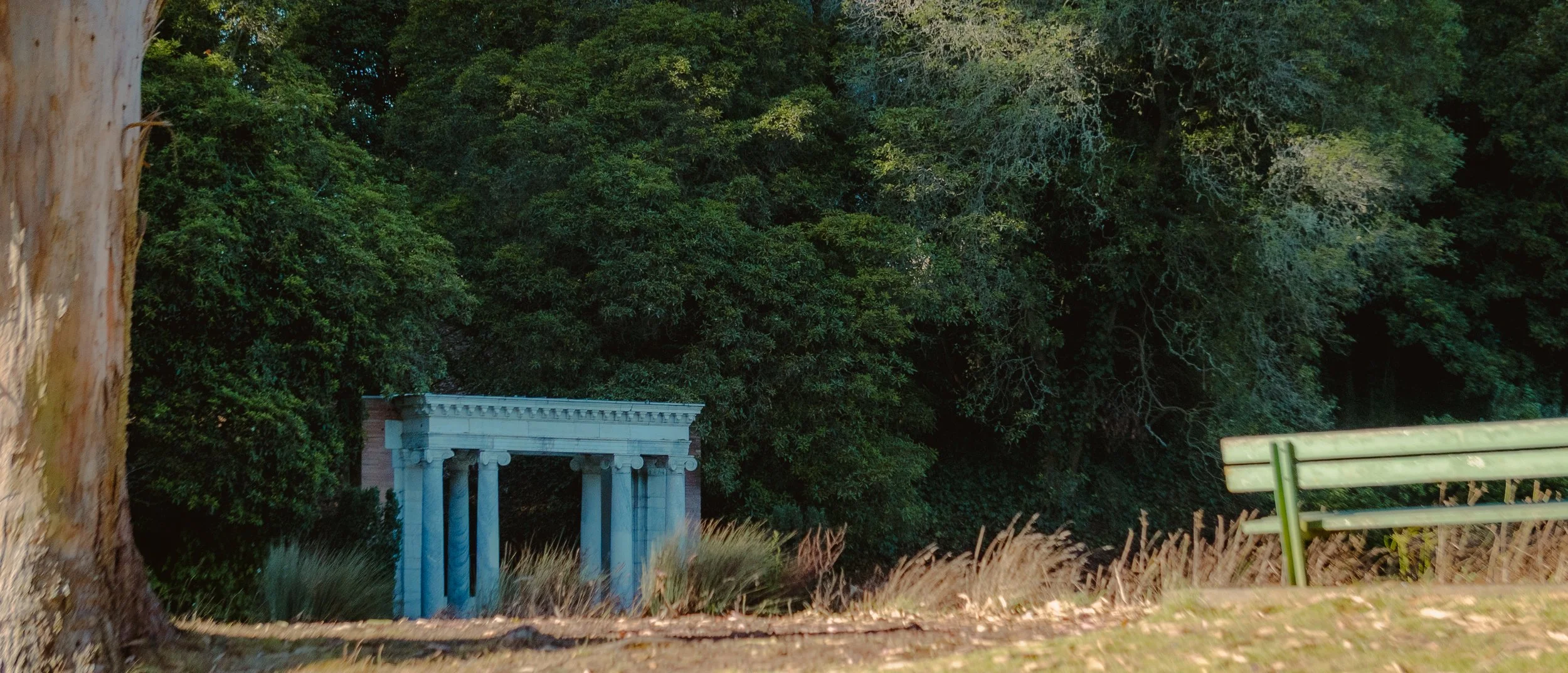 A park scene with a wooden bench, tall grass, a large tree trunk on the left, and a small classical-style structure with columns in the background, surrounded by lush green trees.