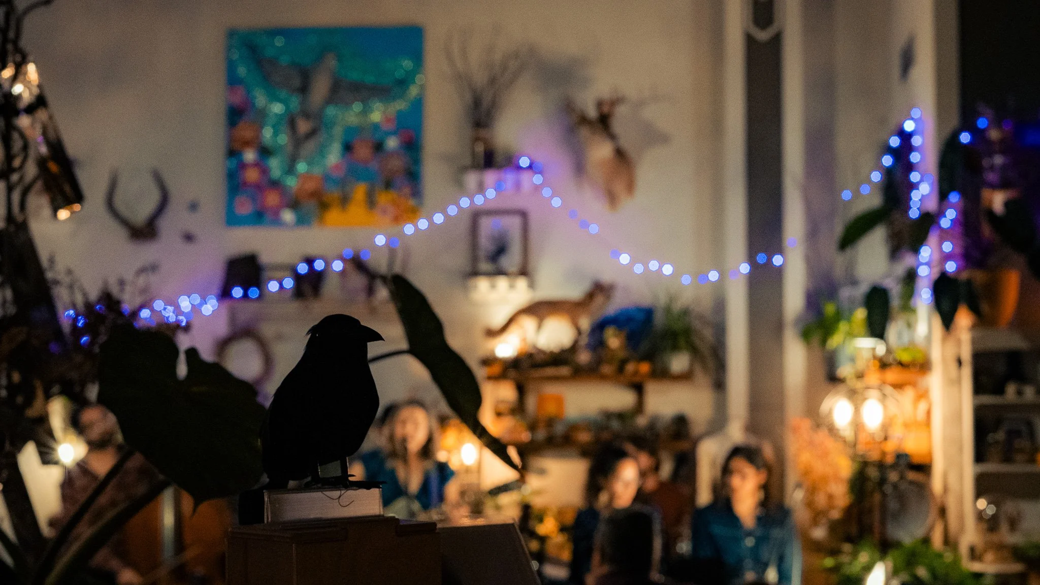 Silhouettes of two birds on a table in the foreground of a cozy, decorated room with people sitting at a table, blue string lights, plants, and various wall decorations.