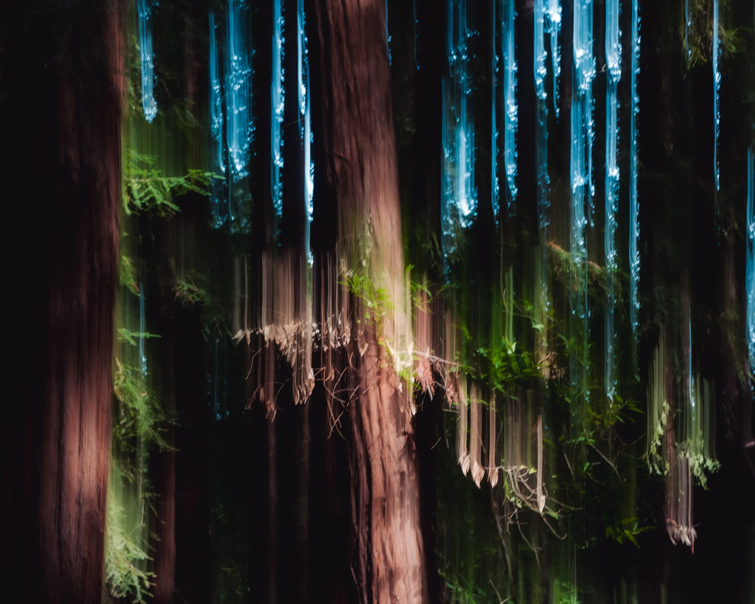 Blurred photo of tall tree trunks and green foliage in a forest at night with blue light streaks.