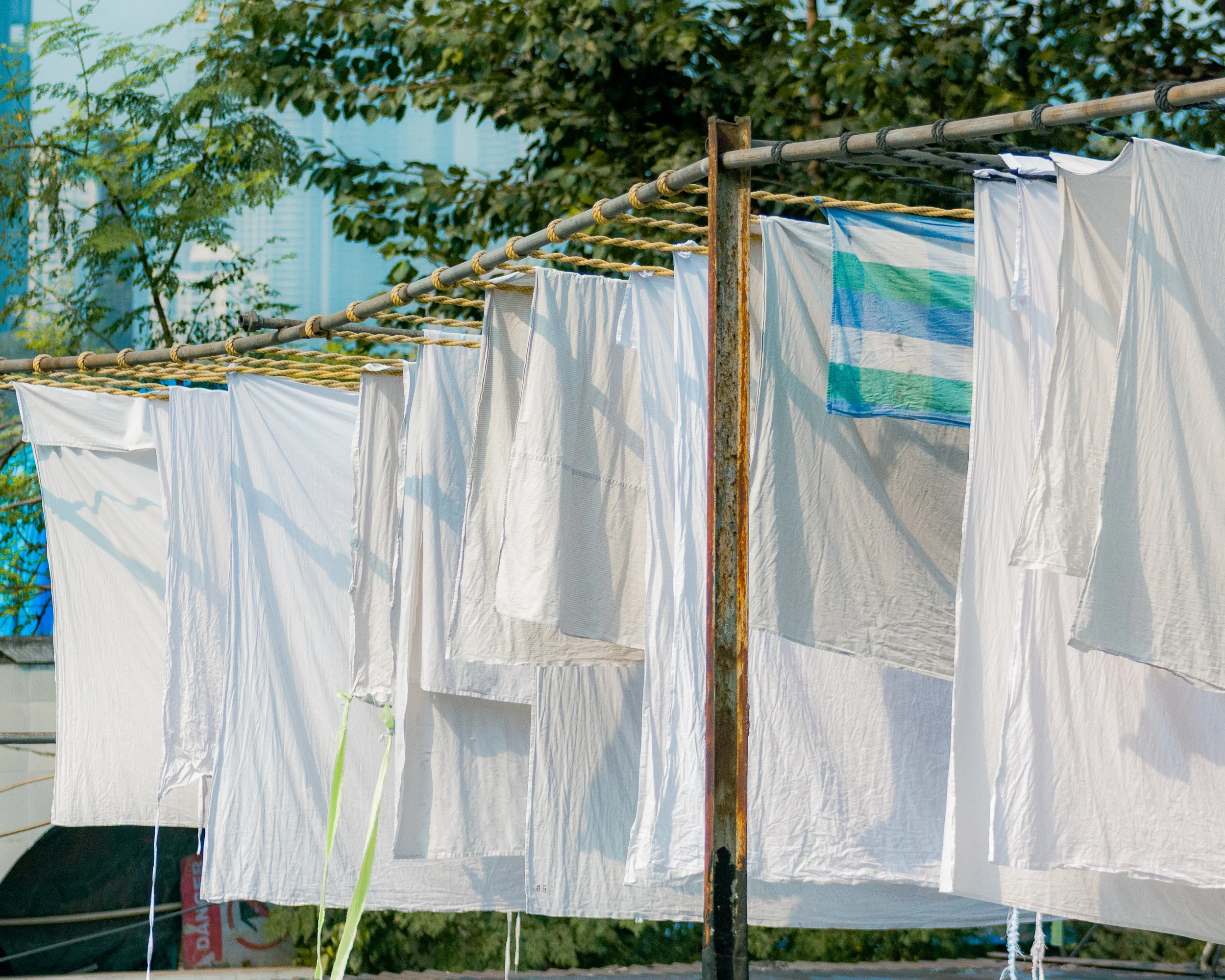 Clothes drying on a rooftop clothesline with greenery and city buildings in the background.
