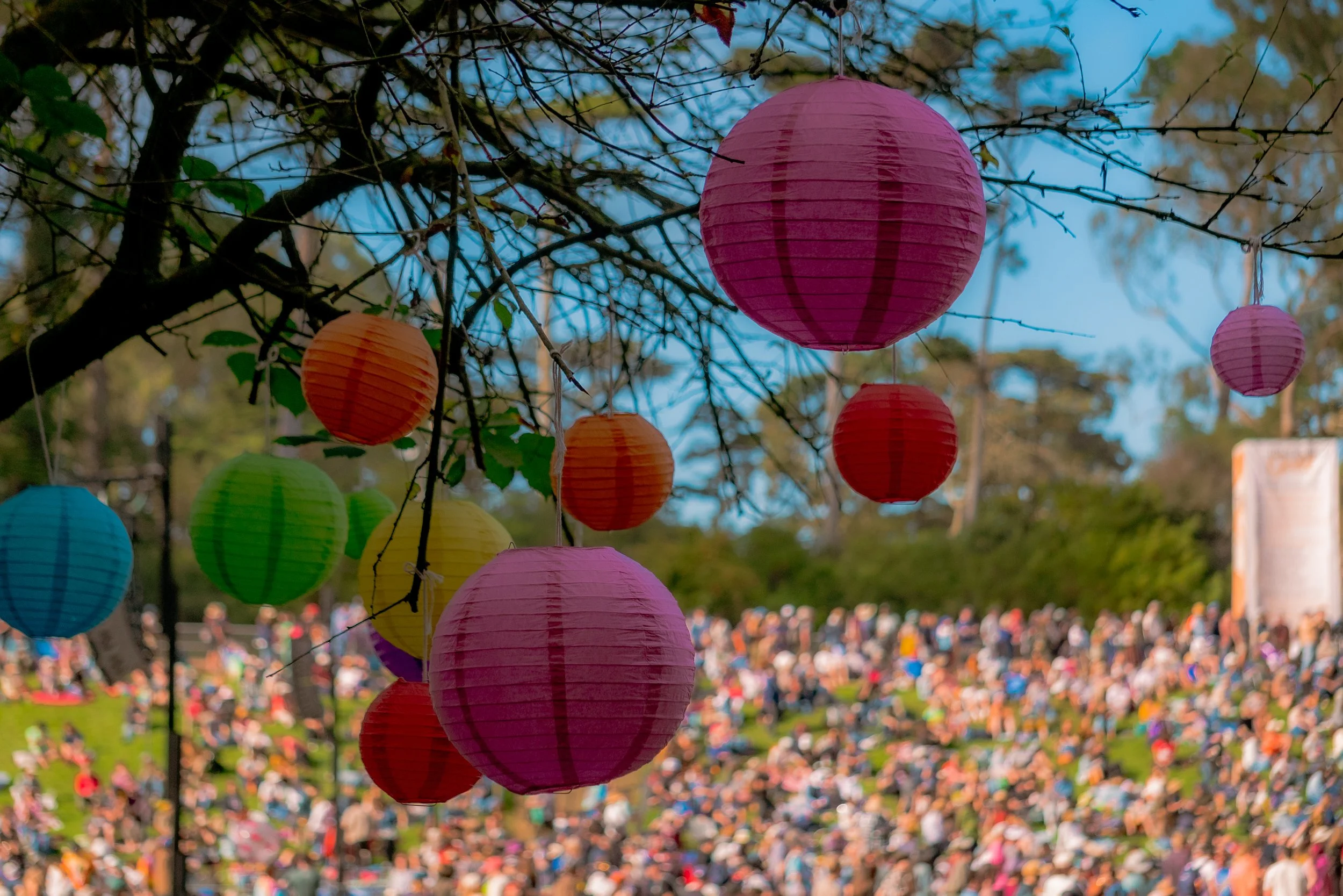 Colorful paper lanterns hanging from tree branches above a crowd at outdoor festival.