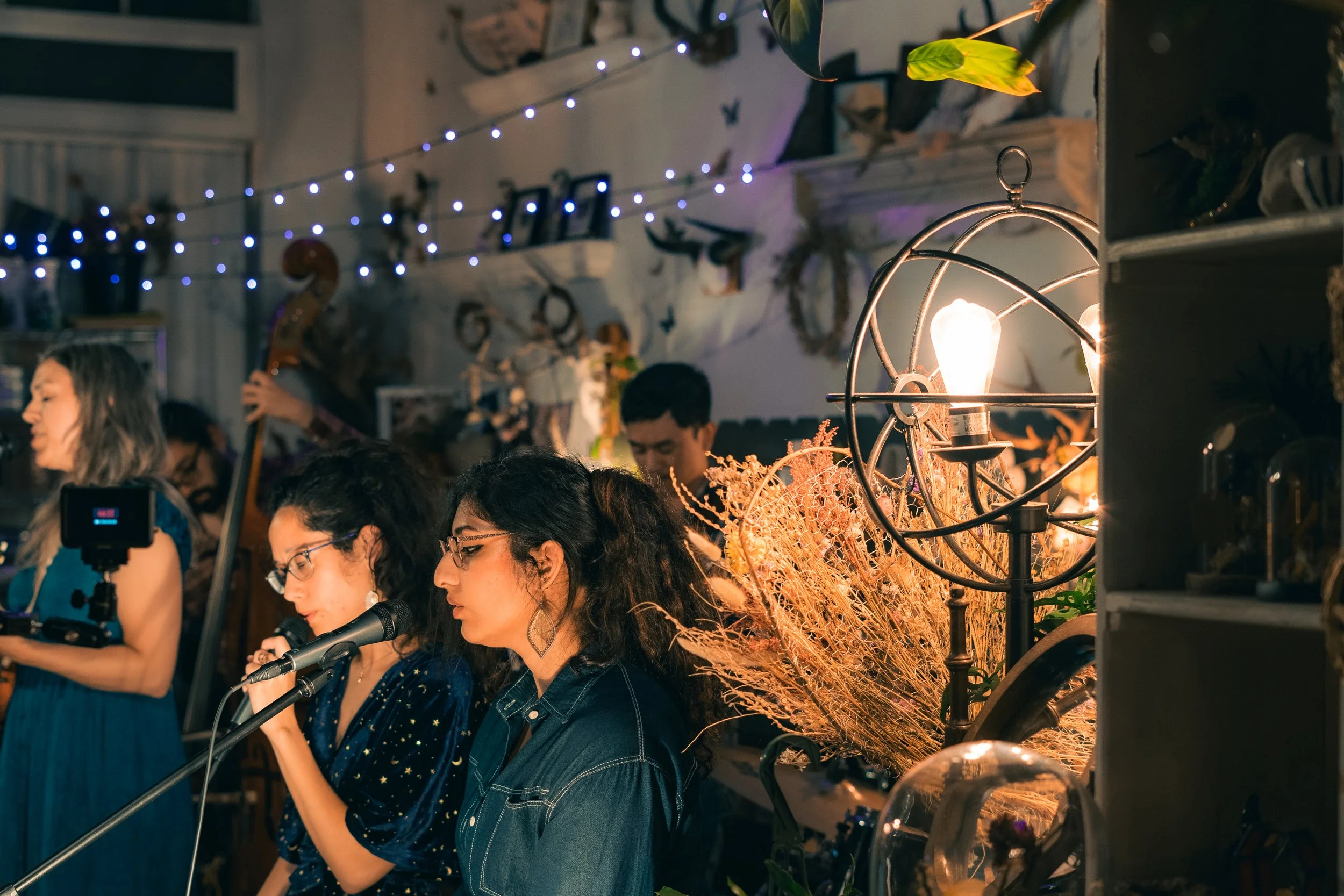 A group of people singing into microphones at an indoor gathering with decorative lights and plants, with a musician playing a double bass in the background.