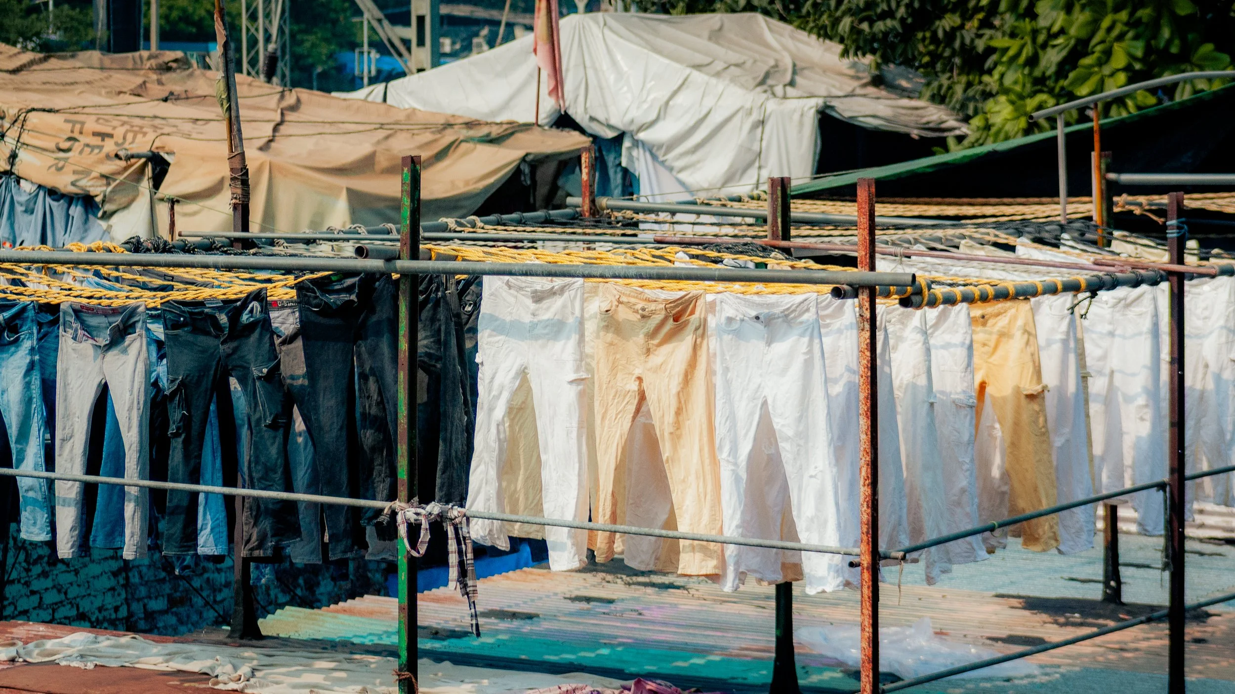 Clothes hanging to dry on a clothesline outdoors, with various colors of pants and shirts, in front of tarps and greenery.