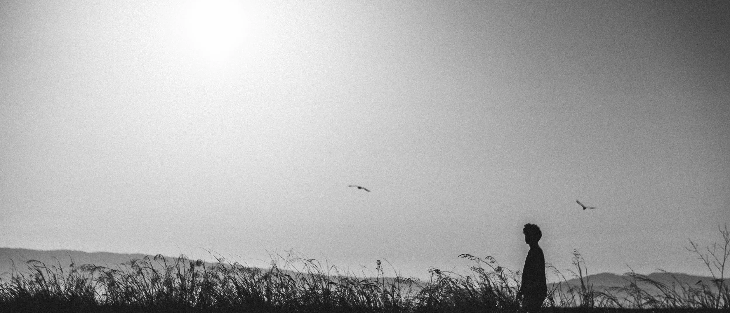 DSC00390 copy.jpg