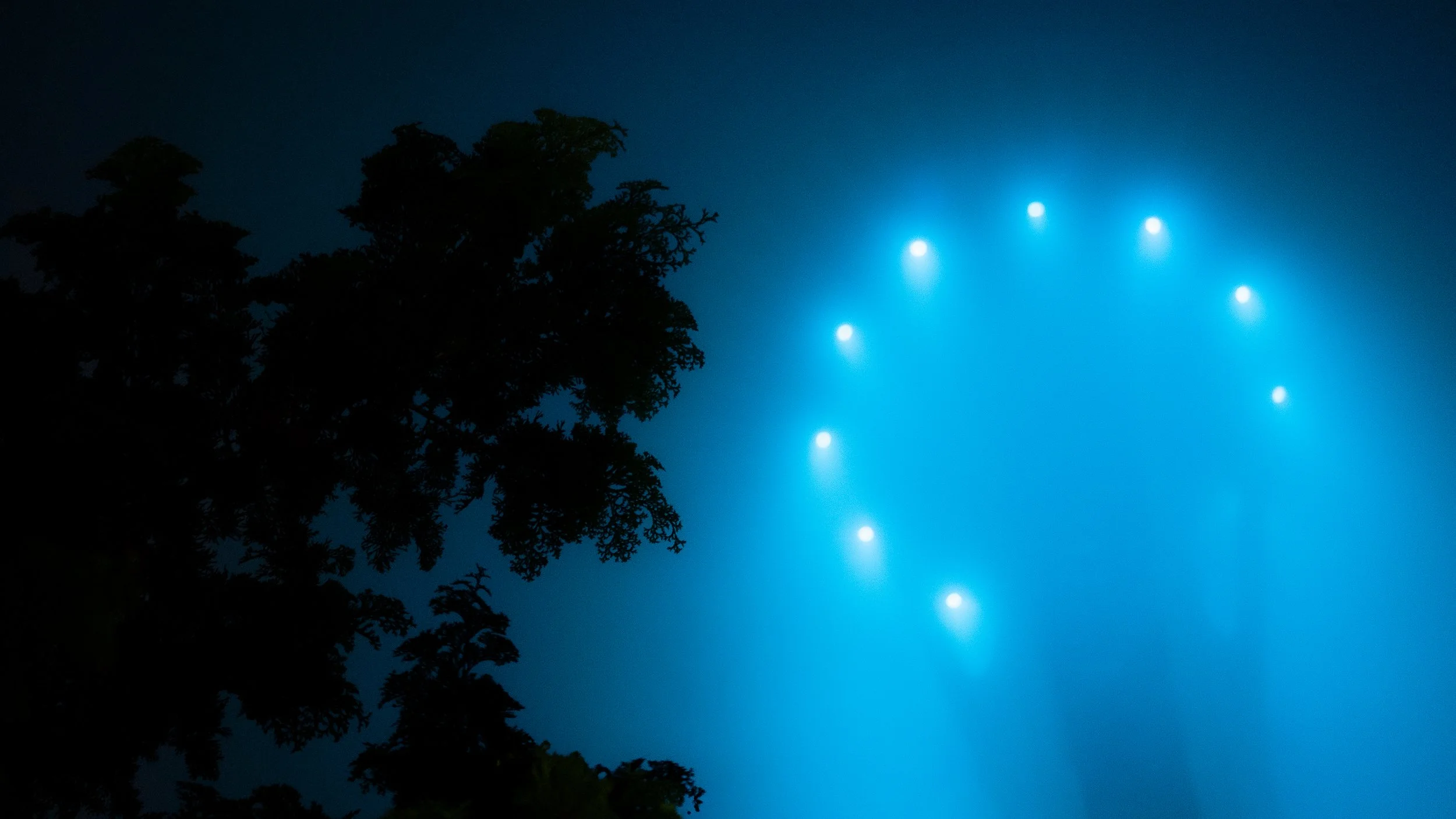 Nighttime sky with a dark silhouette of trees on the left and a series of bright blue lights forming a curved line in the sky.