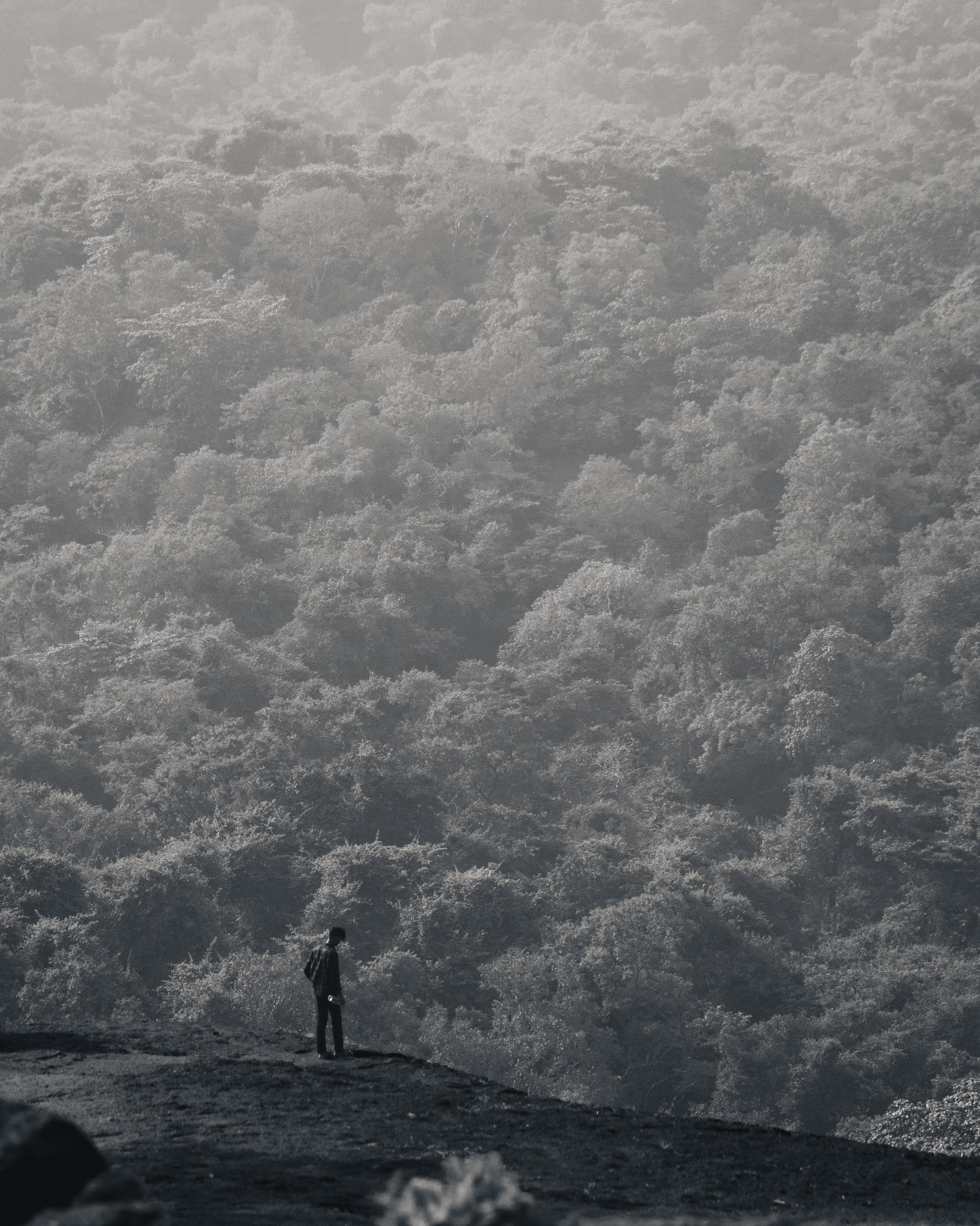 A person standing on a rocky ledge overlooking a dense, foggy forest of trees.