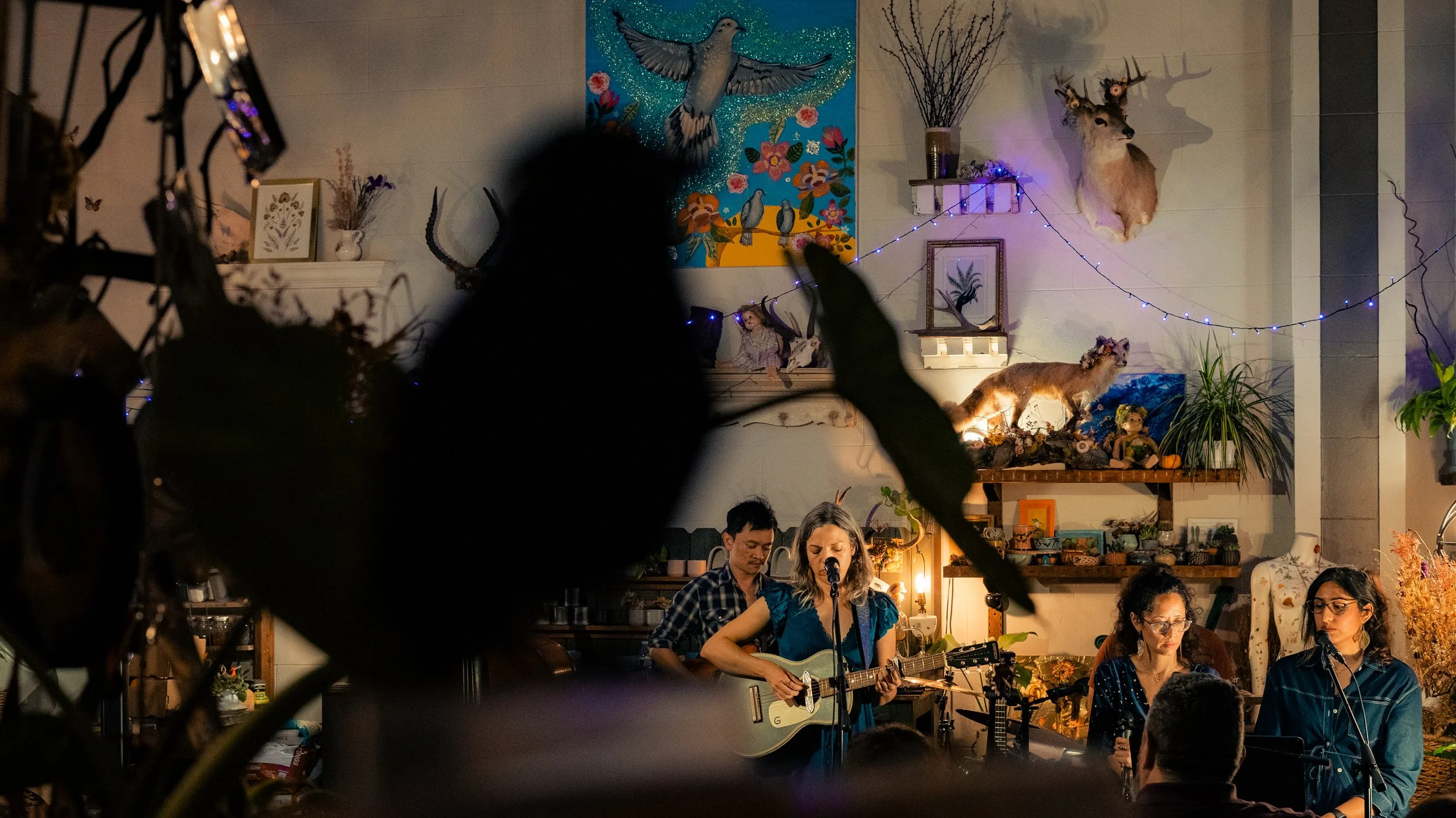 A band of four women and one man performing music on a stage decorated with plants, stuffed animals, and artwork, with colorful string lights in the background, in a cozy indoor setting.