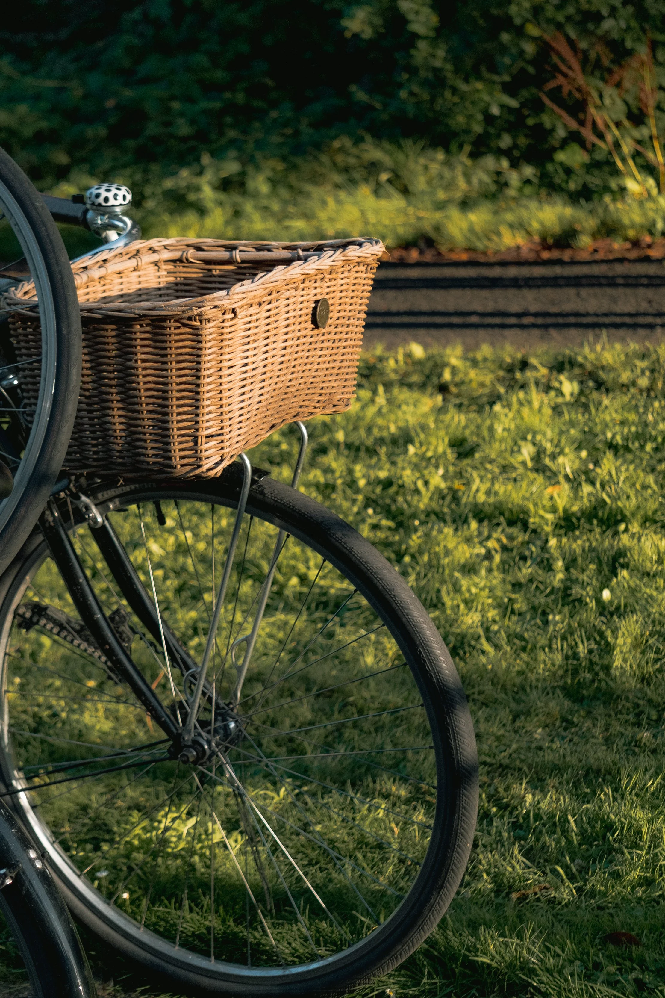 Close-up of a wheelchair with a wicker basket on the front, on a grassy outdoor area with a pathway and bushes in the background, during sunlight.