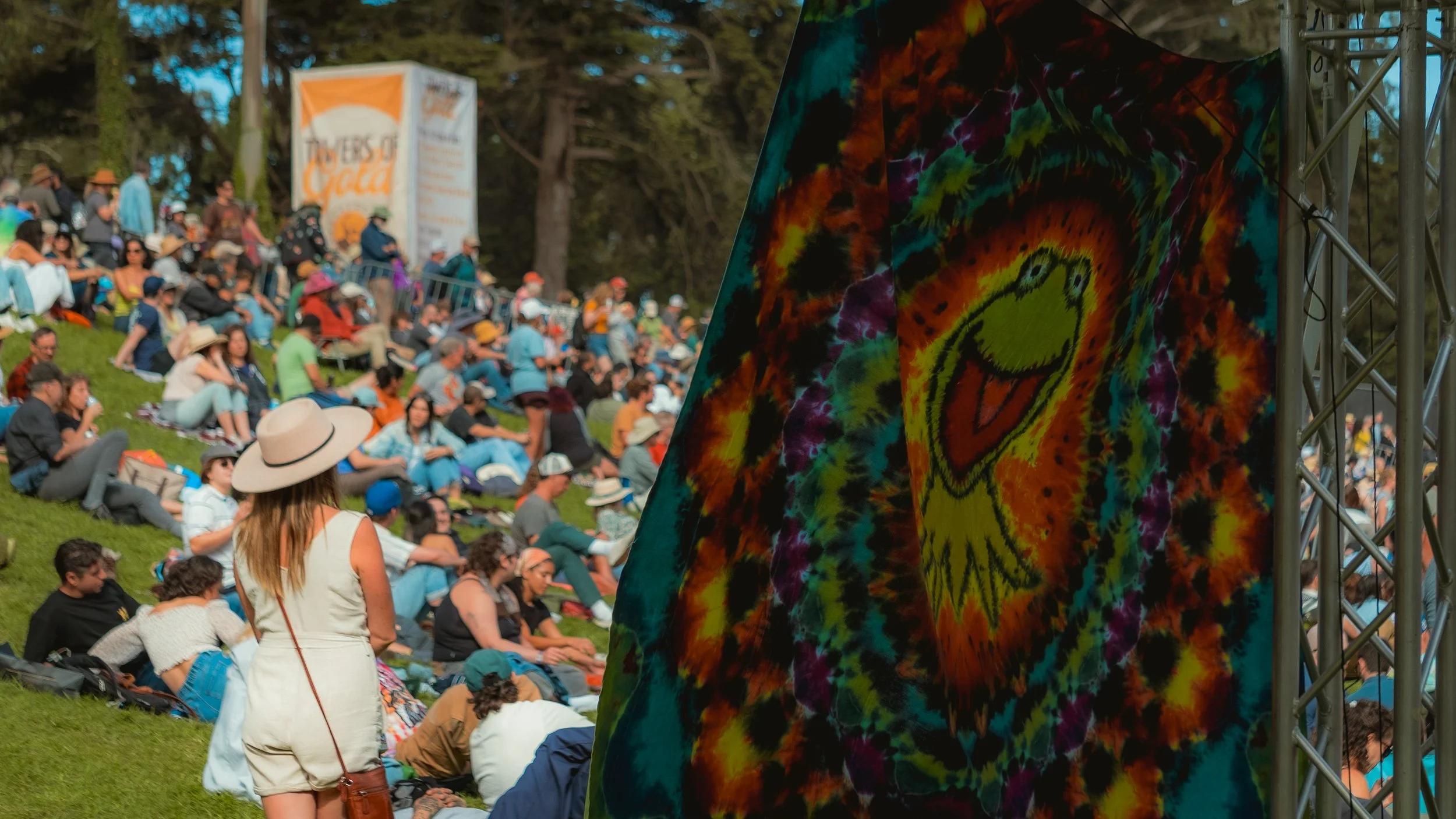 Crowd of people sitting on grassy hill at outdoor event, with a colorful tie-dye banner featuring a smiling frog design in the foreground.