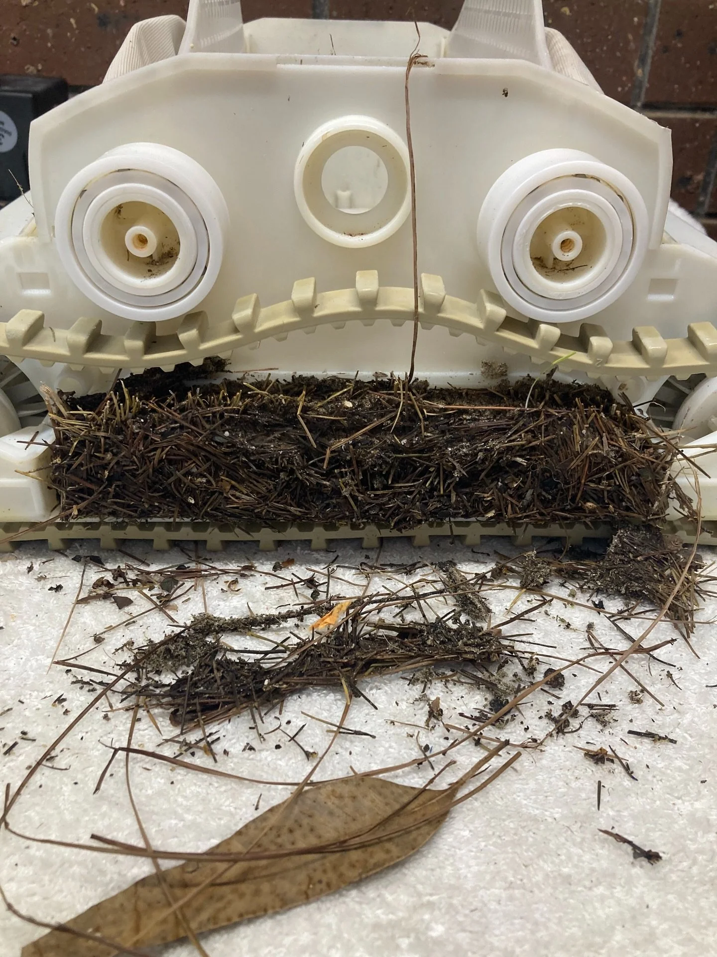 Birds nest in your robot? 🪺 Pine needles and other leaf debris can very quickly build up inside your robot and work their way into your gears and bearing wheels, putting extra strain on your drive motor. 

As part of our inspection and repair proces