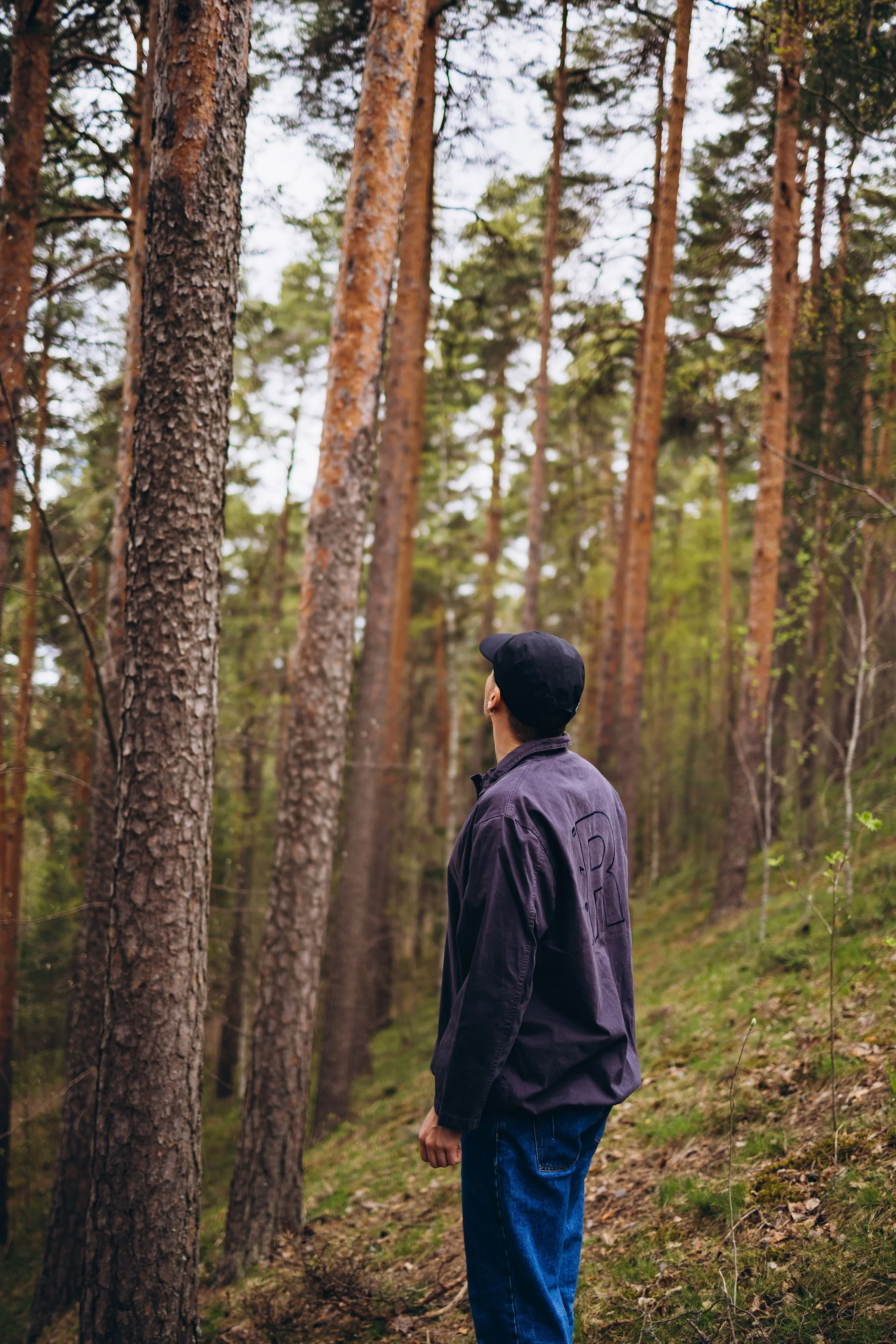 Pesojoonas katselee  metsässä puita.