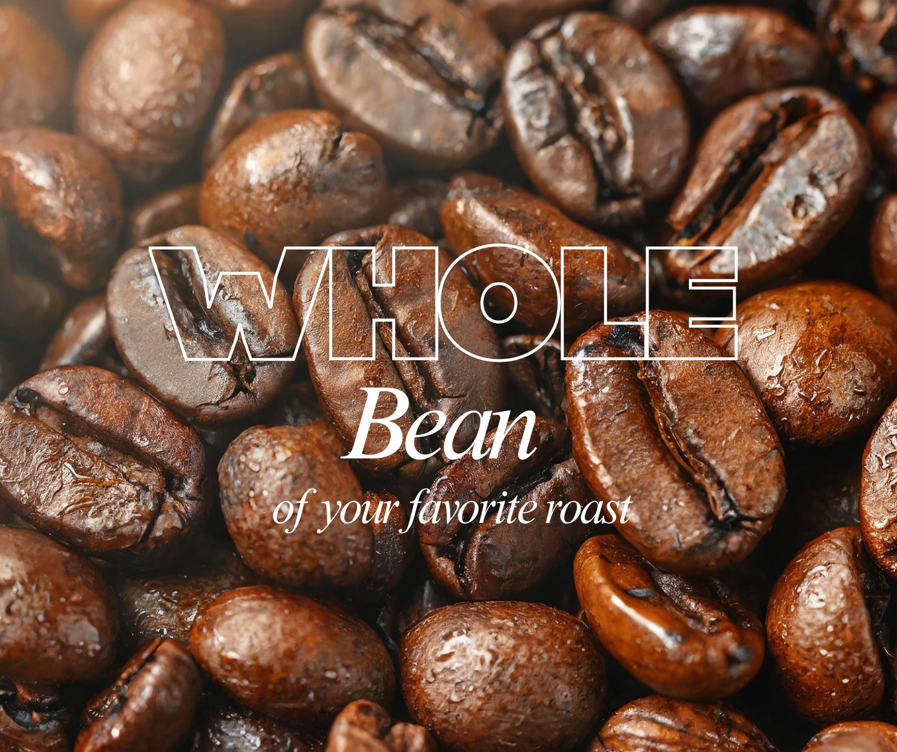 whole bean.png