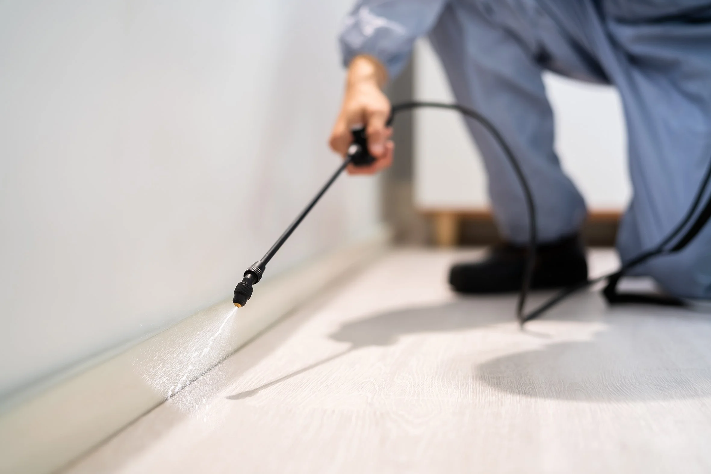A person kneeling on the floor, operating a handheld spraying device along the baseboard of a wall.
