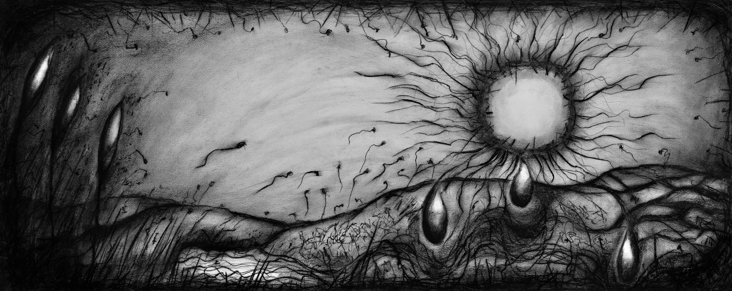  Creation Groans , 2003 
Charcoal on paper 
43 × 108 cm (17 × 42.5 in)