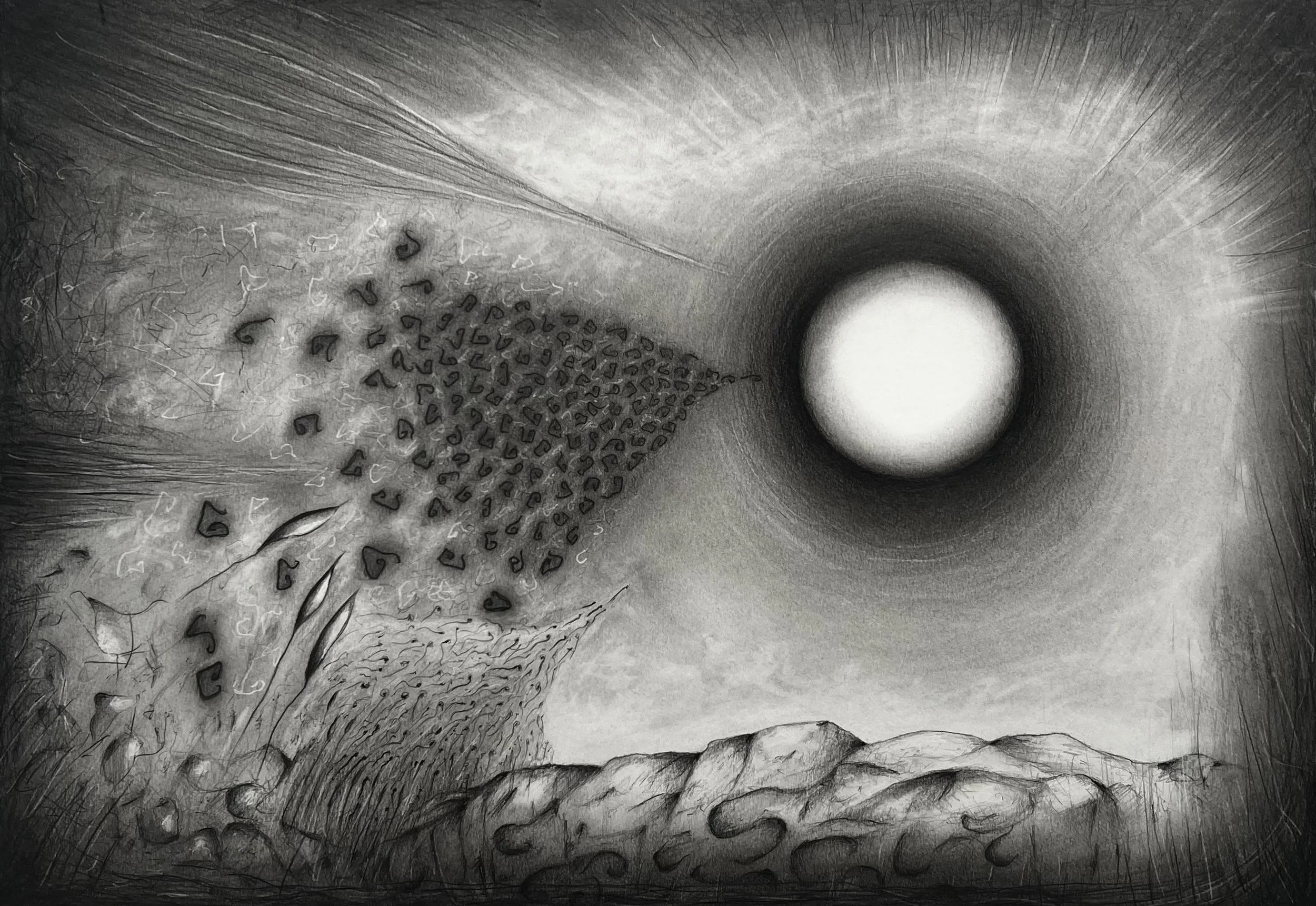 Origins , 2026 
Graphite on paper 
35.4 × 50 cm (13.8 × 19.7 in)
