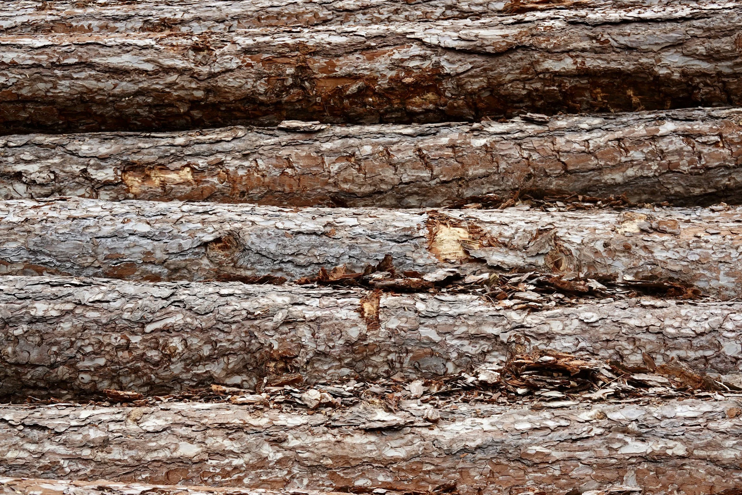 Close-up of stacked tree bark logs with rough texture and natural brown and gray colors.