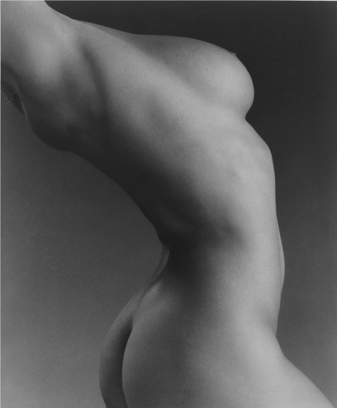 Czarno-biała fotografia Roberta Mapplethorpe'a "Lisa Marie" ukazująca bok ciała nagiej kobiety odchylonej do tyłu.