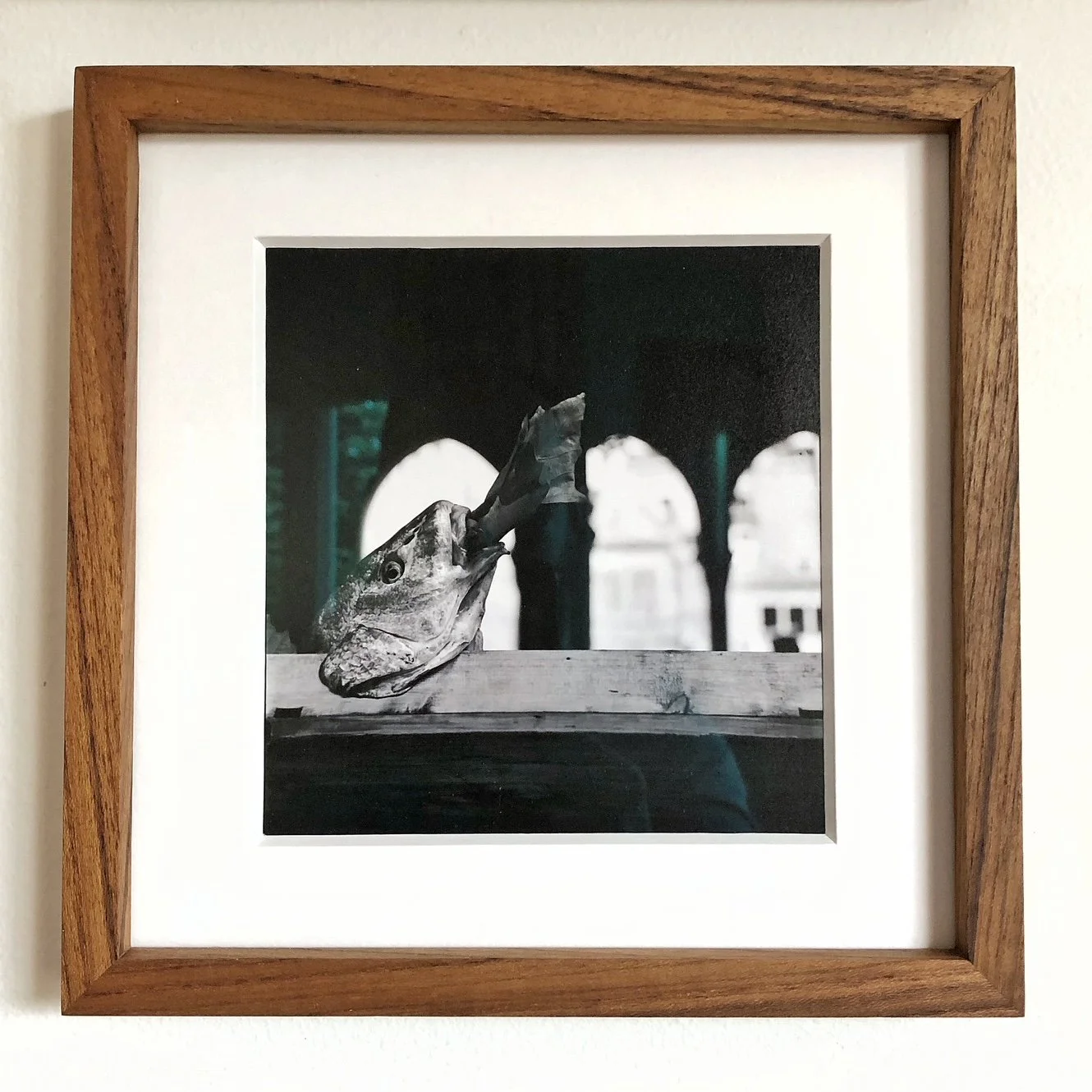 Black and white photograph of a fish head placed on a wooden surface, with a piece of fish in its mouth, under an arched structure with urban buildings in the background.