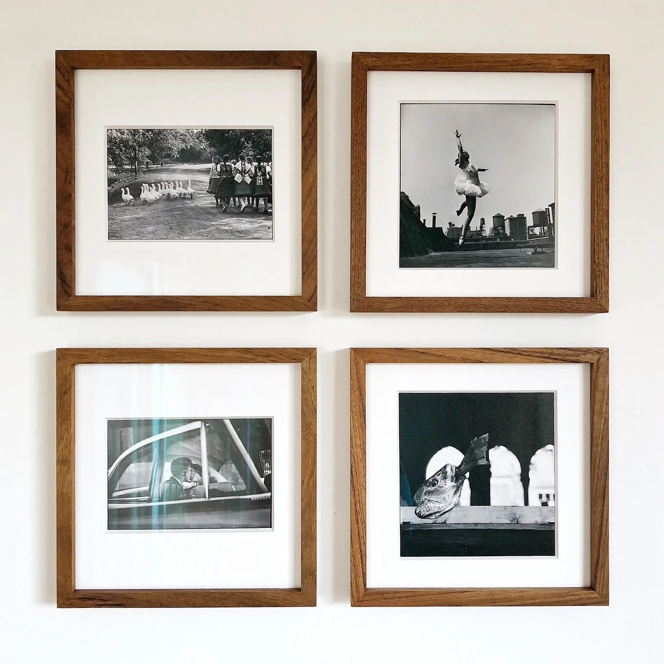 Zestaw czterech czarno-białych fotografii autorstwa Elliott'a Erwitt'a oprawionych w drewniane, ciemnobrązowe ramy, zawieszone na białej ścianie pod sobą dwie na dwie.