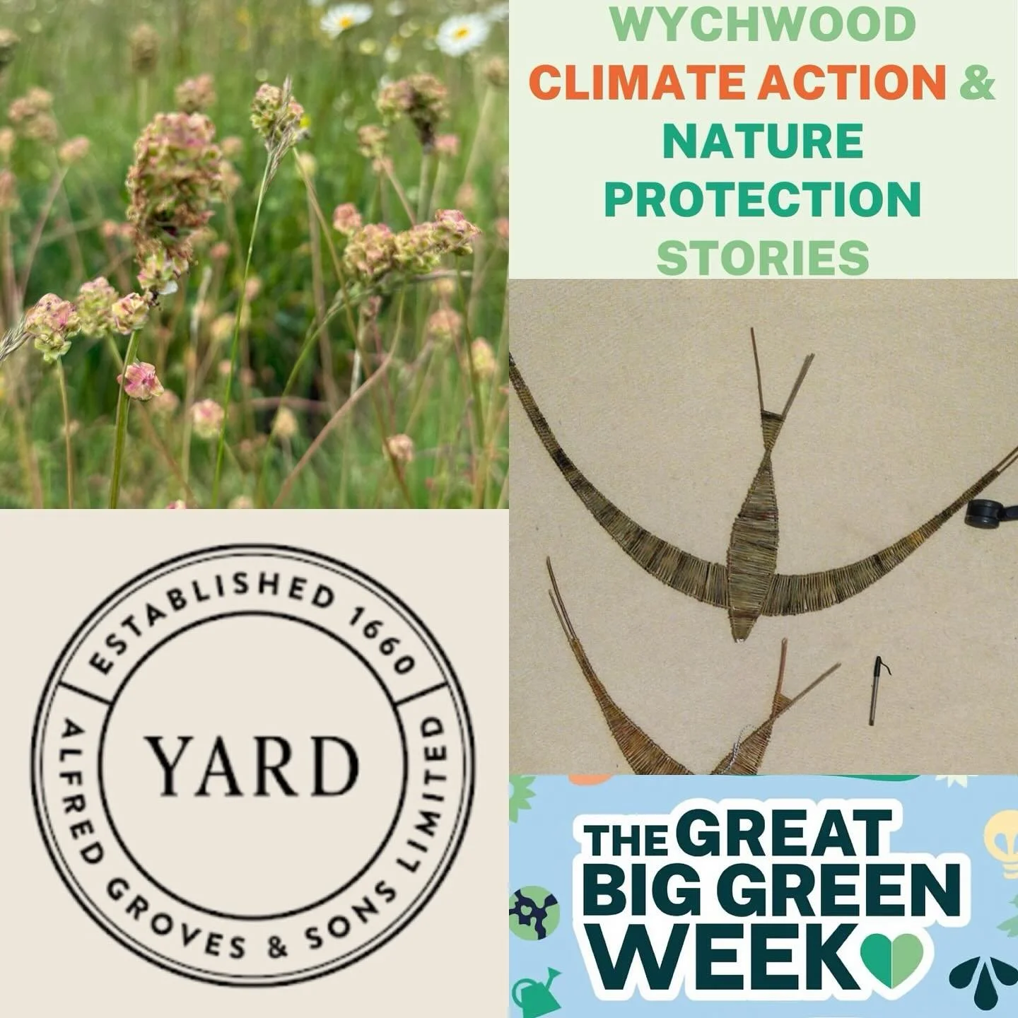 We are celebrating 
THE GREAT BIG GREEN WEEK 🍀🍃🌳by encouraging you to try our locally sourced wildflower- and soil improving seeds, which provide much needed nutrition and space for insects and animals (people too!) and not least Mother Earth

We 