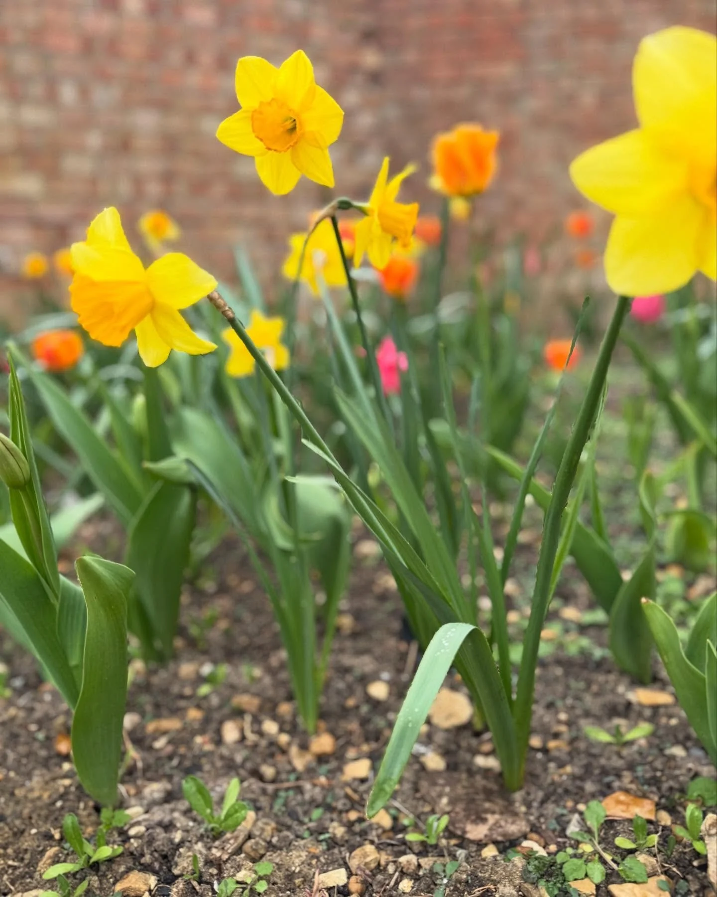 Happy Easter 🐣

We hope you have a lovely, relaxed celebration.

We are open today and tomorrow from 10-2pm

#grovesyard #easteropeninghours #happyeaster
