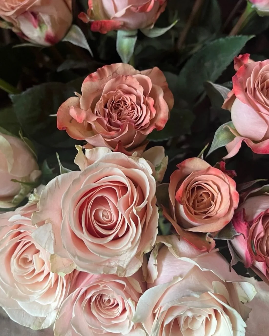 Be my Valentine&hearts;️

Our little beautiful flower shop in Groves Yard @littlefflur has an abundance of beautiful flower bouquets for you to give to your Valentine today! 

Open until 5 today. 

The selection of flowers, roses, bouquets and gifts 