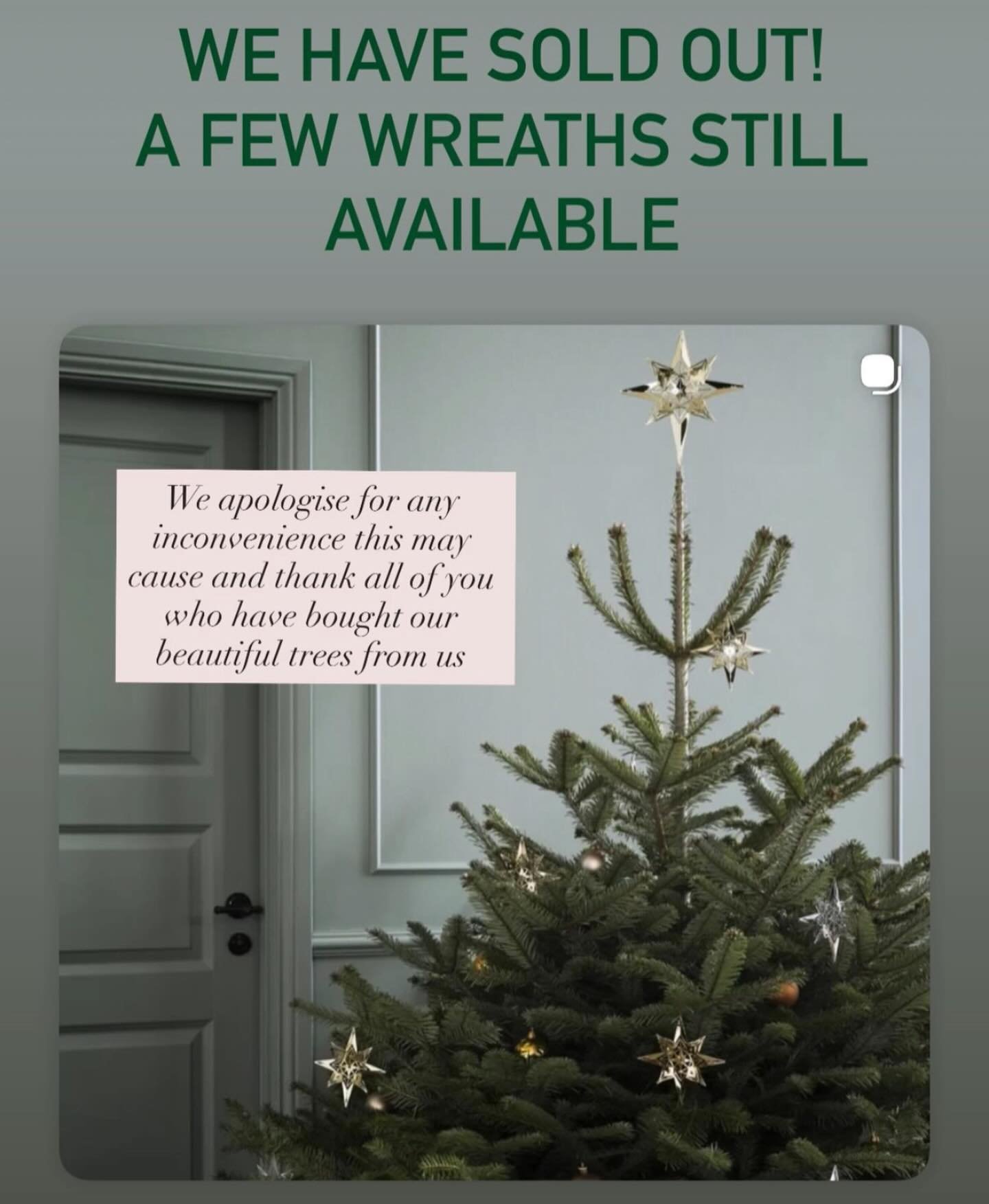 Our beautiful Nordmanns have now all left, brightening up homes around the Cotswolds for our Christmas festive times. 
🎄🎄🎄🎄🎄🎄🎄🎄🎄🎄🎄🎄🎄🎄🎄
We are sorry for any inconvenience this may cause and will be sure to correct numbers for 2026. 
We 