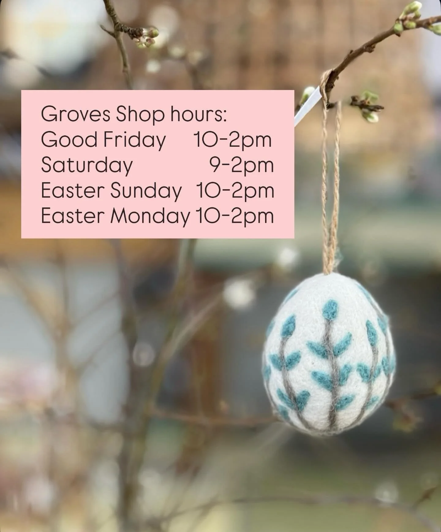 Happy Easter 🐣 

Groves wishes everyone a Happy Easter and will be open everyday to make sure you can get your garden supplies, home-and hardwares, paints, cards and gifts throughout this celebratory period. 

From the team at Groves we wish you all