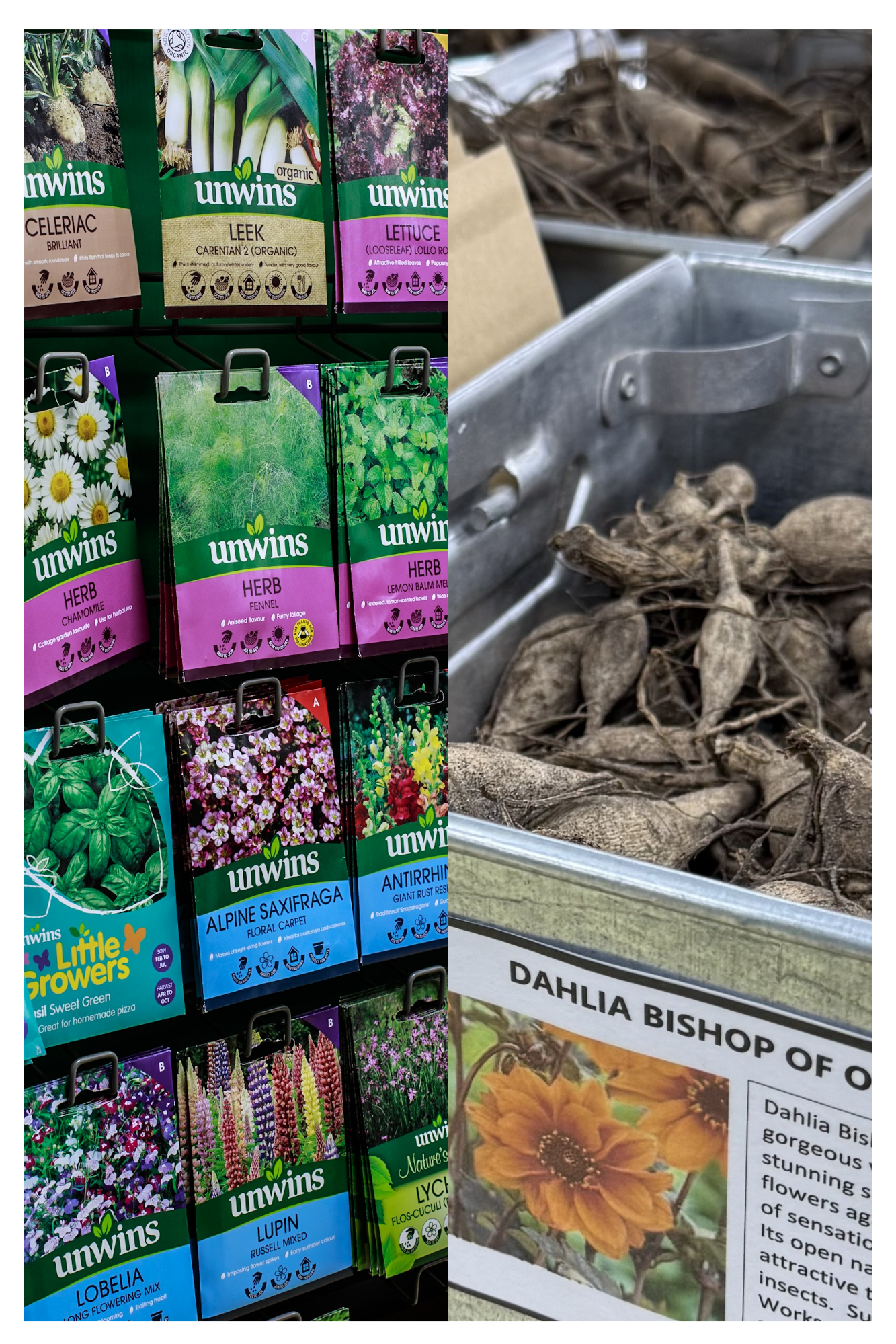 Plant Your Spring Seeds with Groves Shop