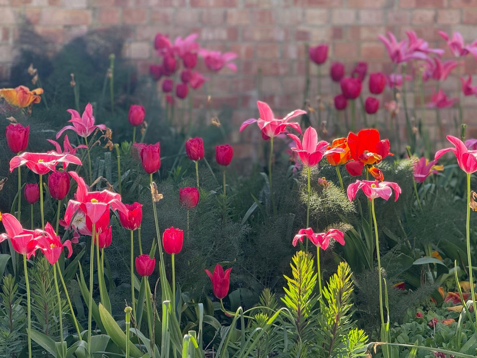 Bank Holiday Projects for the Whole Family