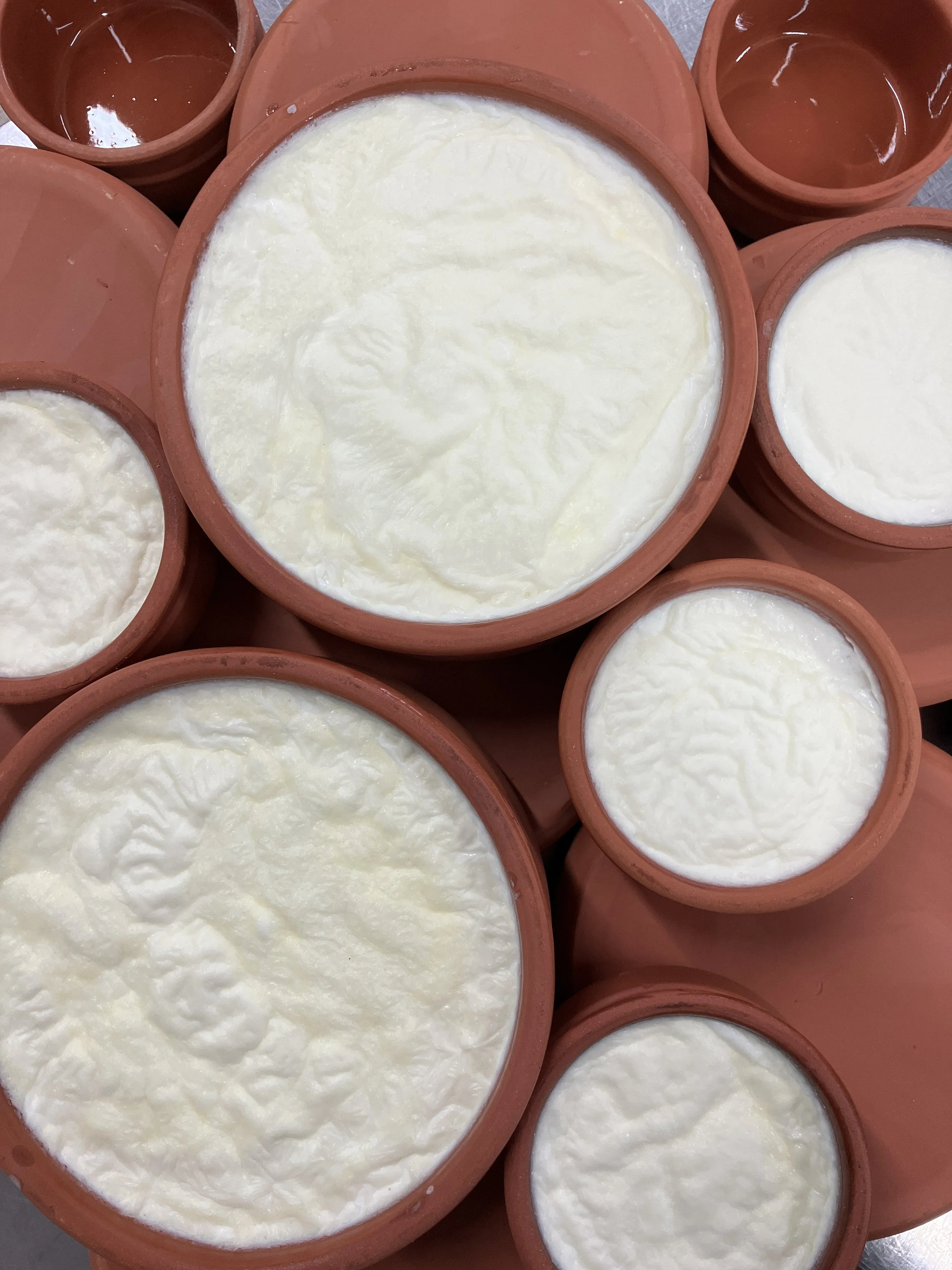 Philotrophie at Groves Yard: Tasty ways to eat our sheep milk yoghurt