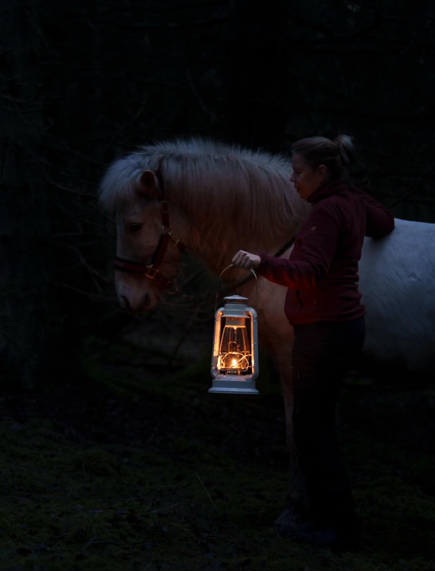 Winter we&rsquo;re are you? #icelandichorse #winter #soonchristmas #santa #smedstorpets_labradoodle #friends #magical #photooftheday @andreas_pantheon