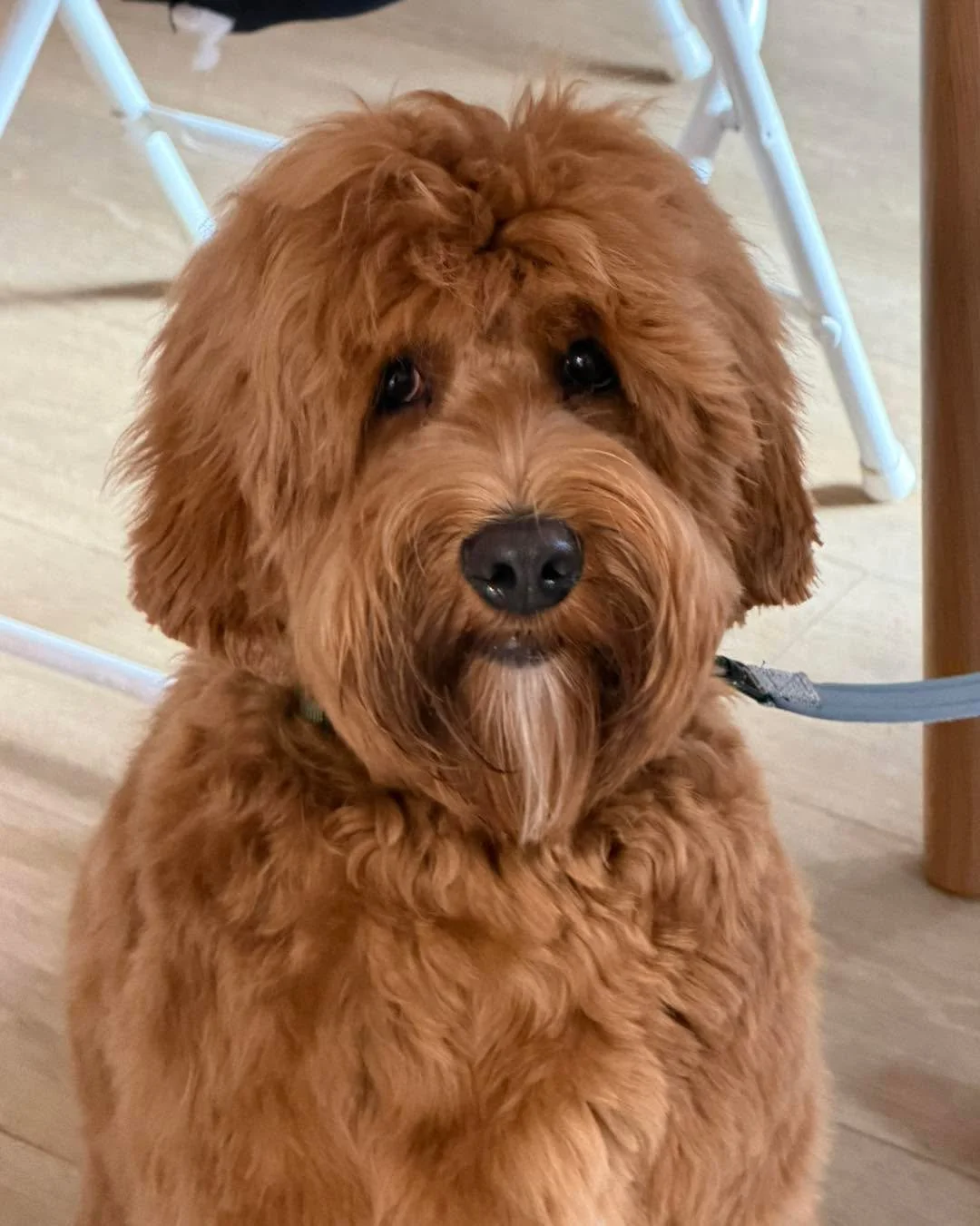 Det finns lediga spa tider kommande vecka, b&aring;de p&aring; onsdag och torsdag

V&auml;lkomna🌸🌸