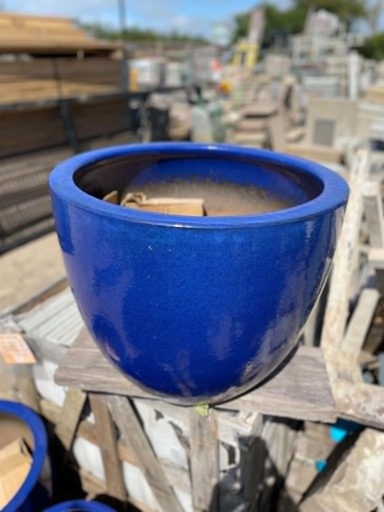 pot2.jpg