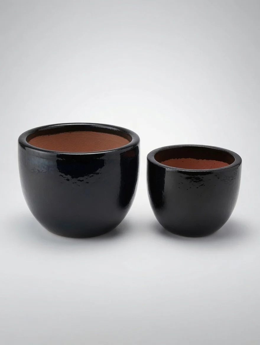 image (20).jpg
