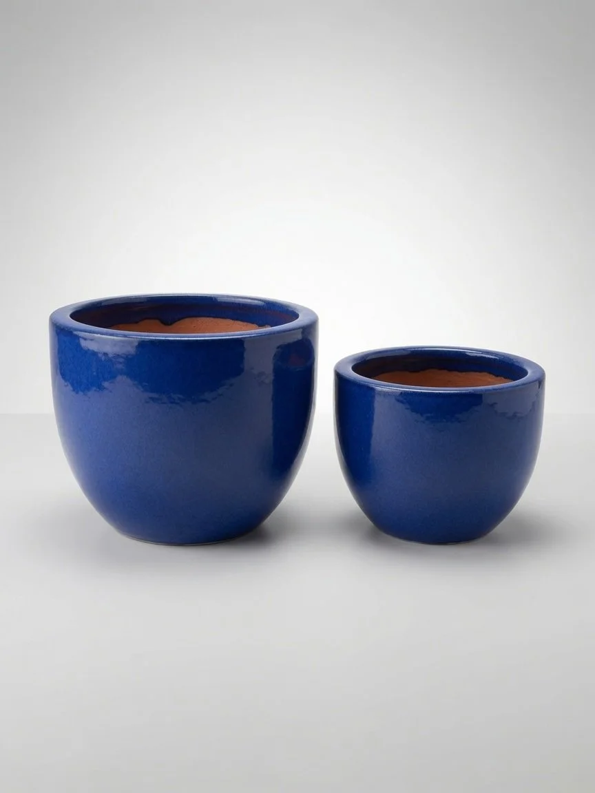 image (19).jpg