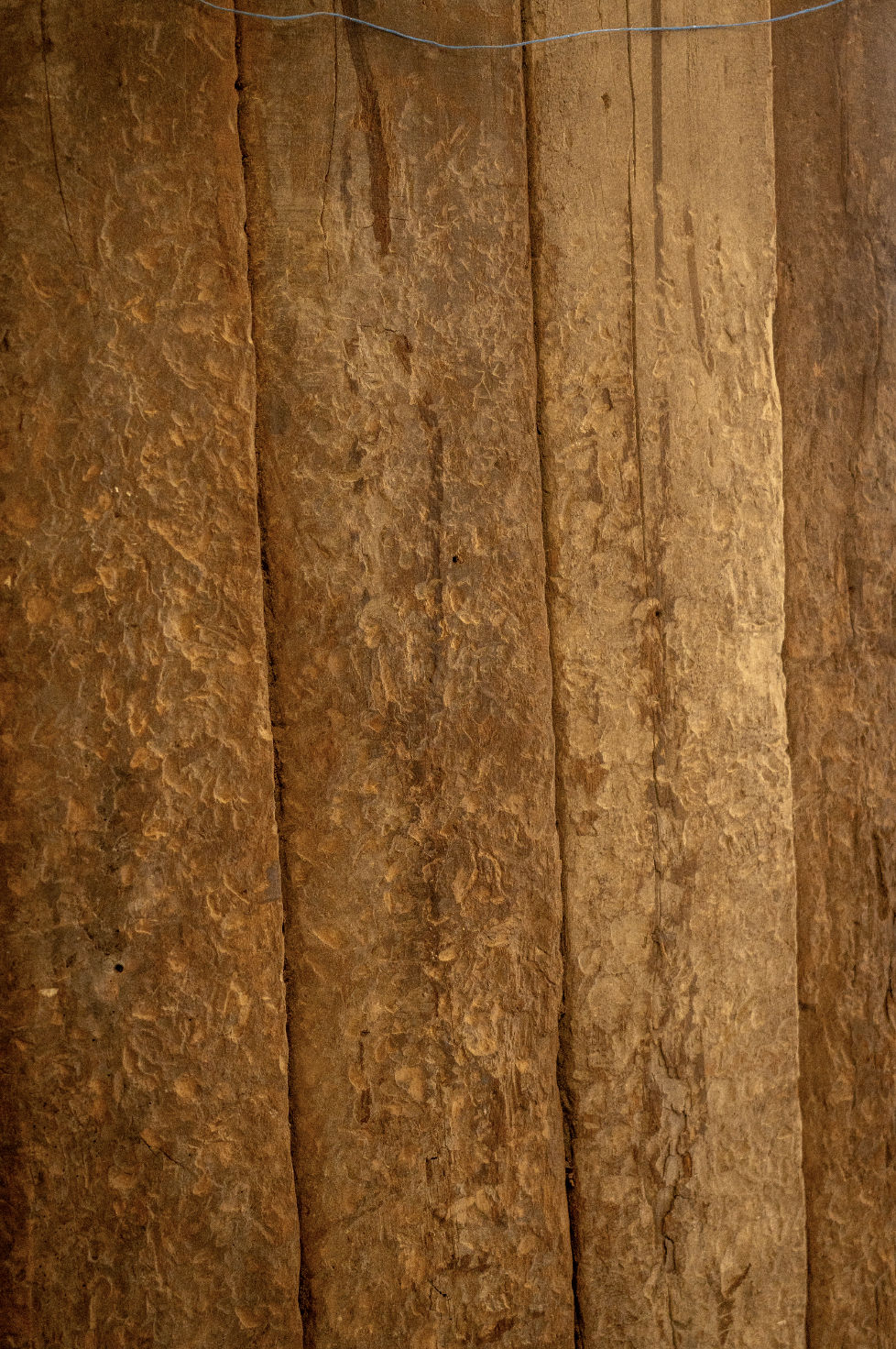 Screenshot 2026-02-11 at 15.03.53.png