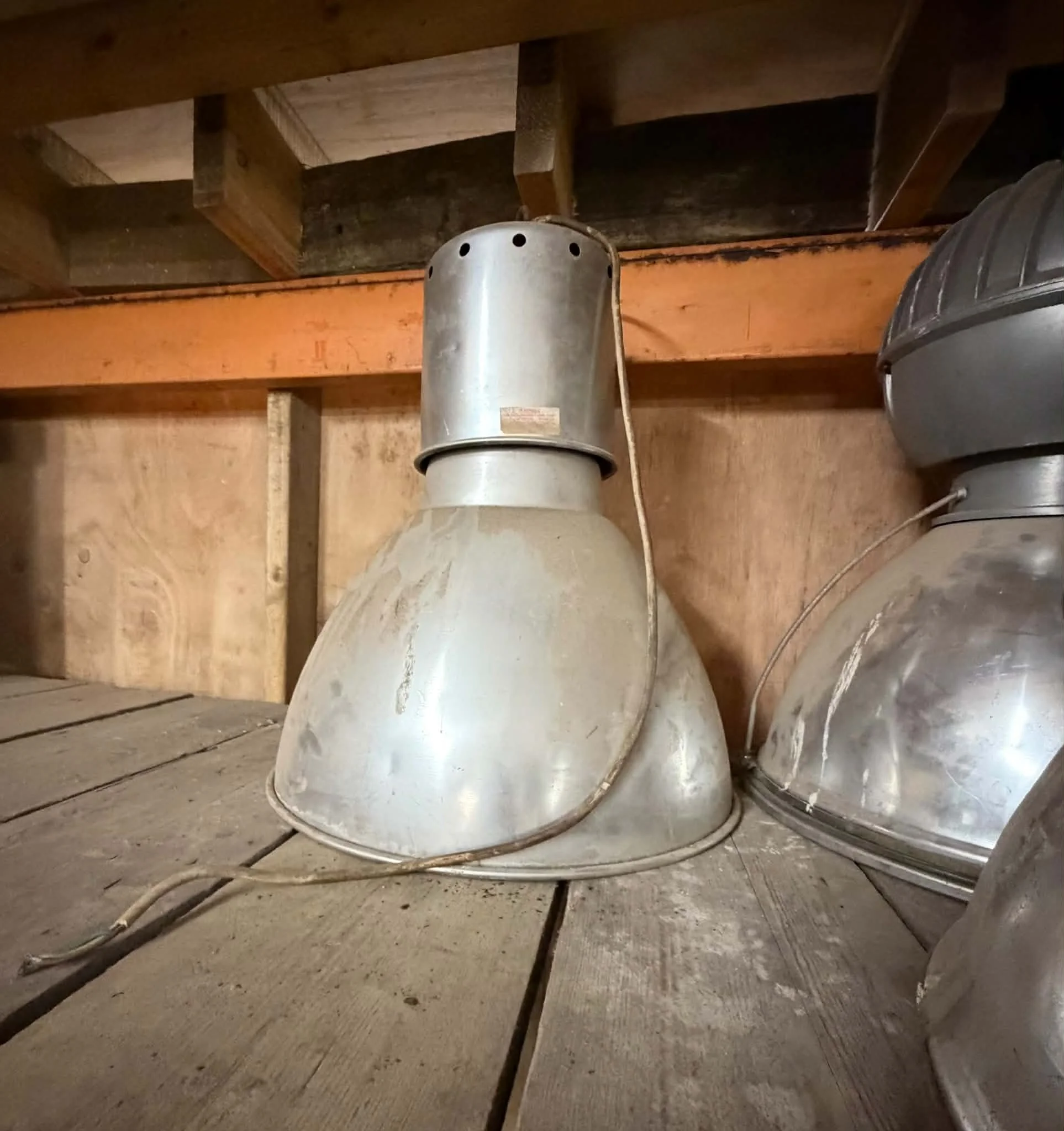 light.jpg