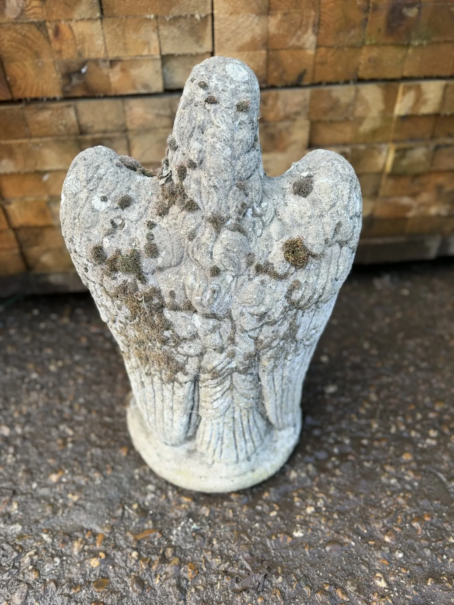 eagle,.jpg