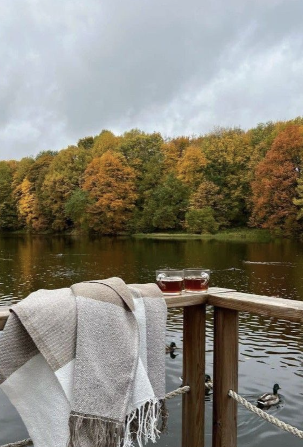 Cozy Escapes: New England Fall Destinations to Savor