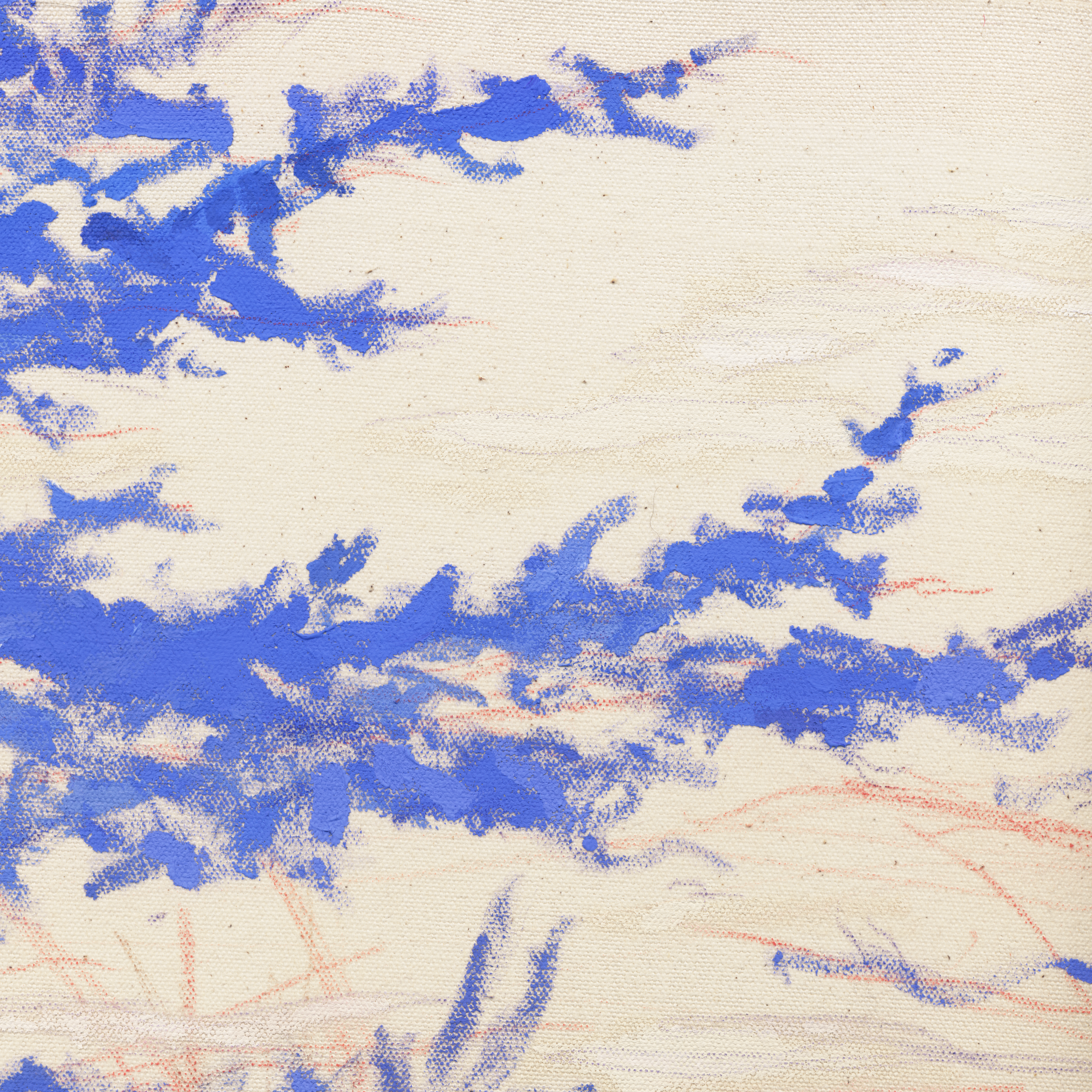 Red Forest detail 7.png
